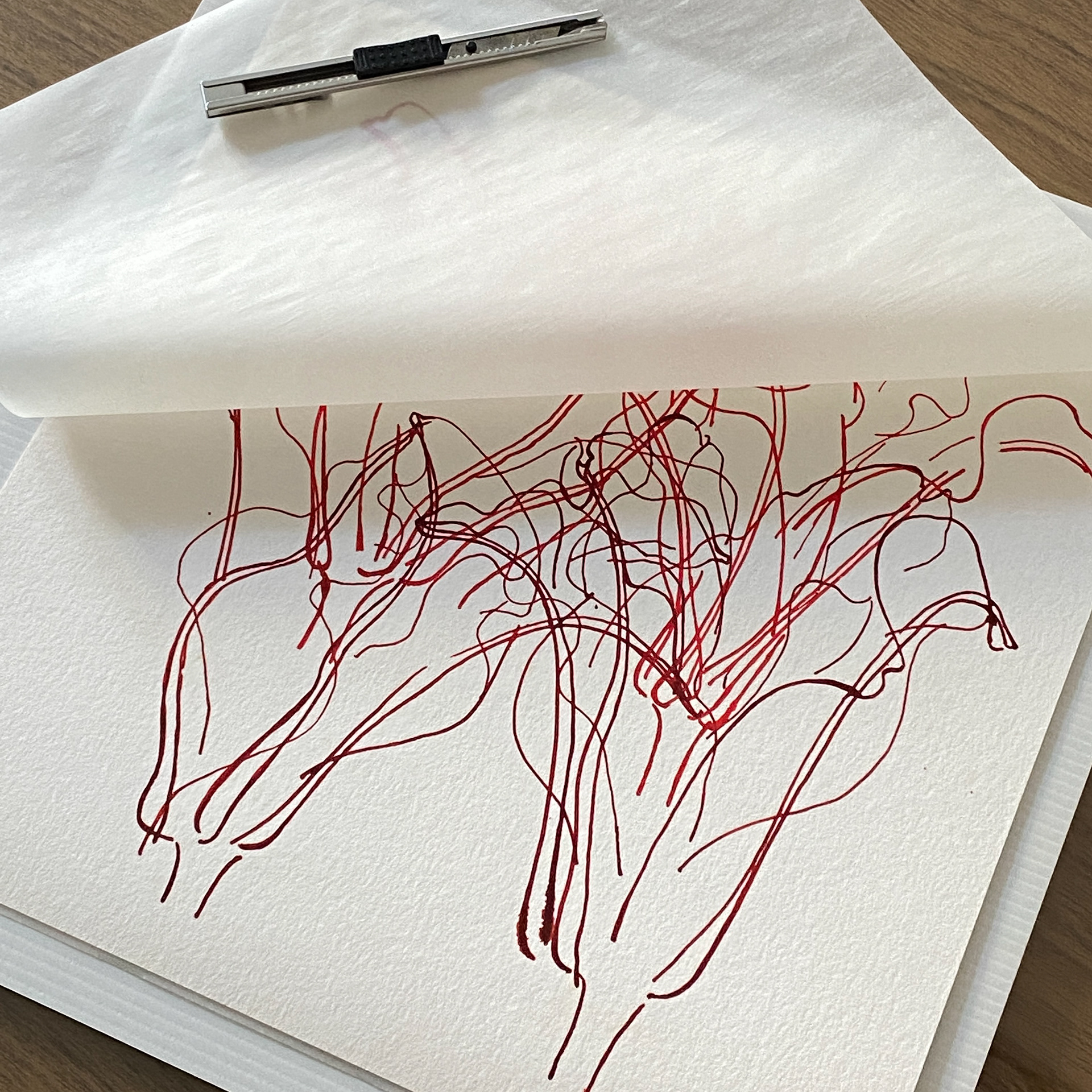 Roseli Jahn | Hahnemühle Museum Etching 350g