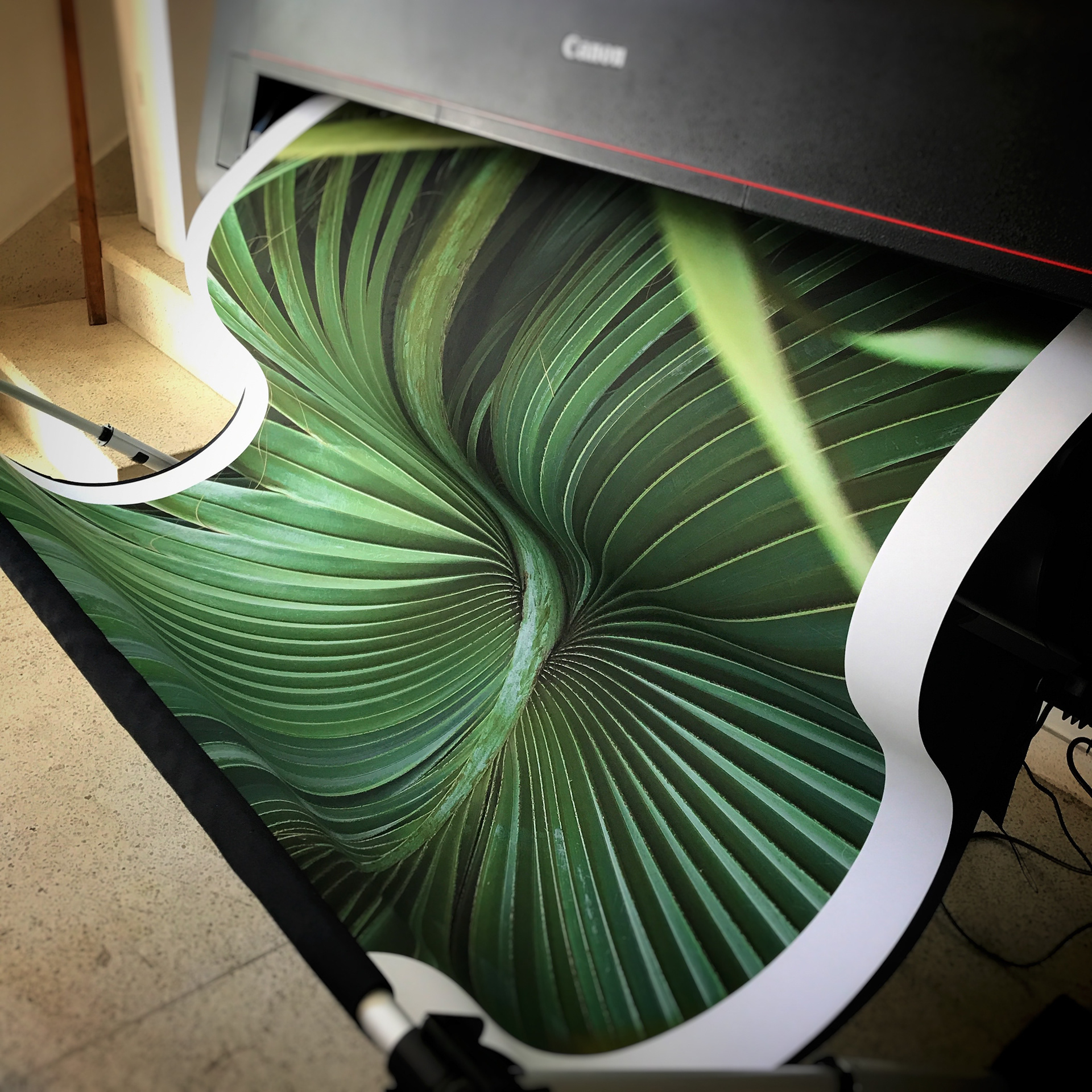 André Bastian | Canson matte 200g