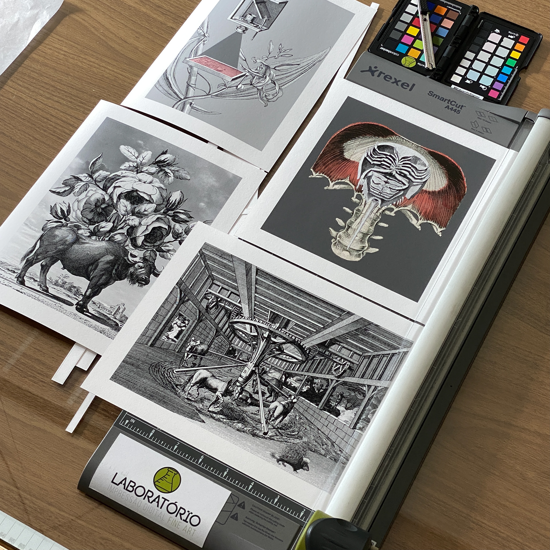 Luiz Carlos Felizardo | Hahnemühle Rag 308g