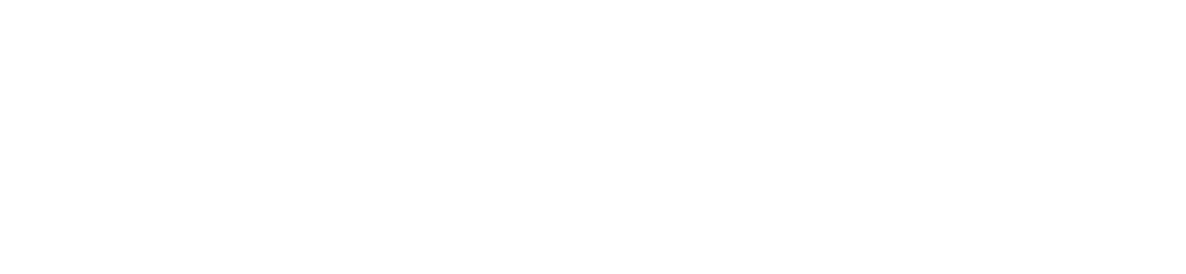 Elizabeth Reis