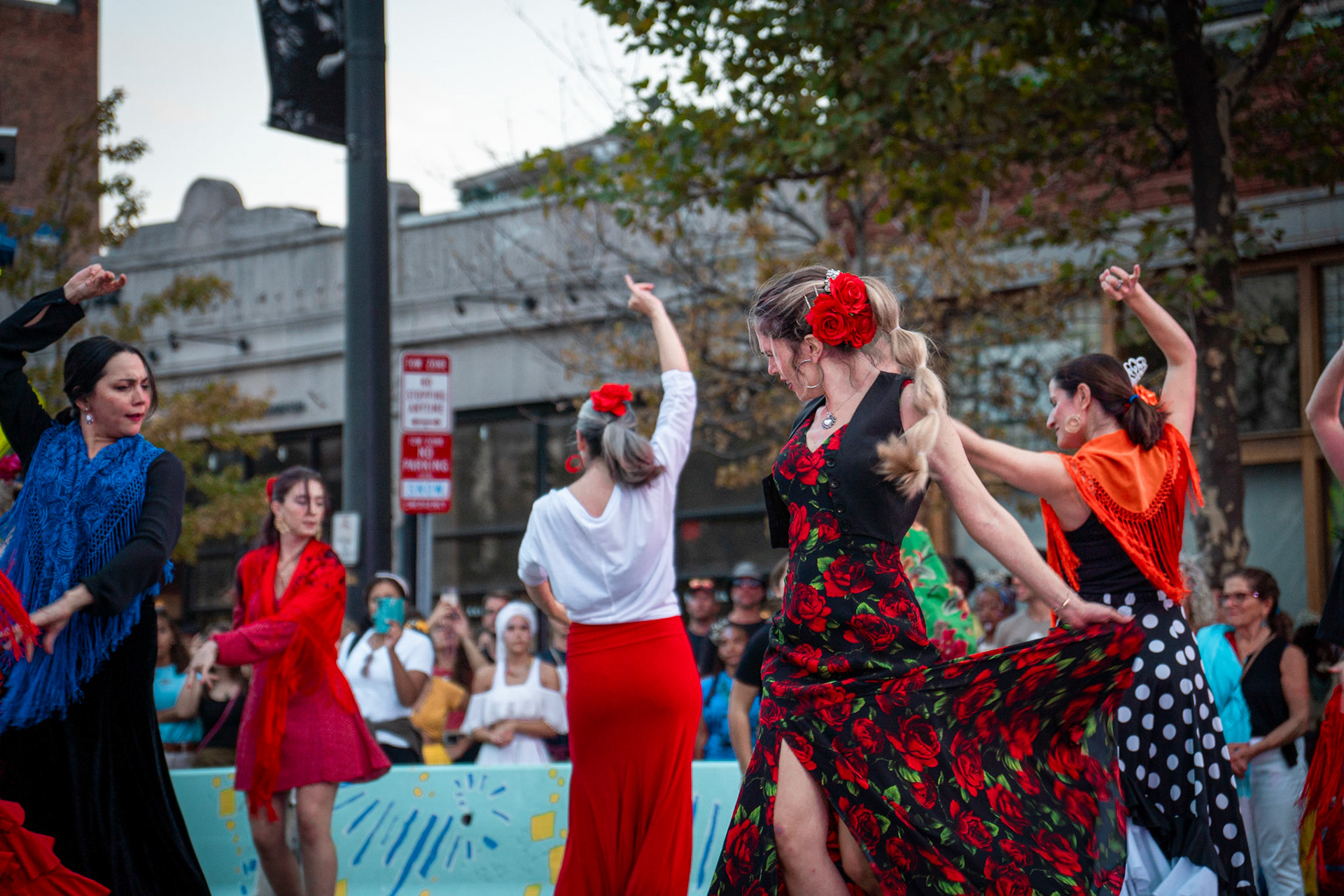 The Dance Complex 50th Anniversary for GBH News