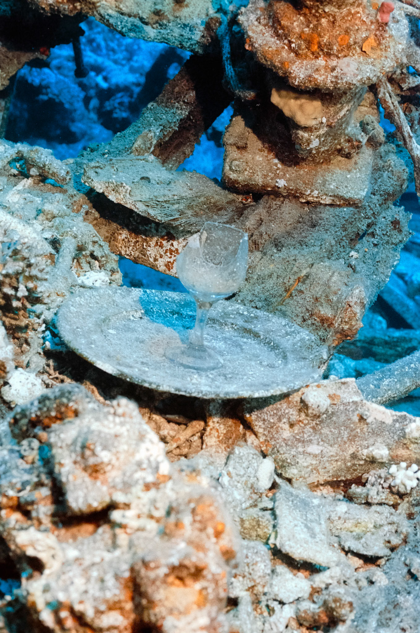 Nikon Nikonos RS | Nikon R-UW AF Nikkor 50mm f/2.8 Micro | Kodak Portra 160 160Scanned with Nikon LS-5000 | Nikon SA-21Home developed in Bellini C41 Kit | 3:15 @ 39 °C | RotationalNegative Lab Pro v3.0.2 | Color Model: Frontier | Pre-Sat: 3 | Tone Profile: LAB - Standard | WB: Auto-Neutral | LUT: Frontier