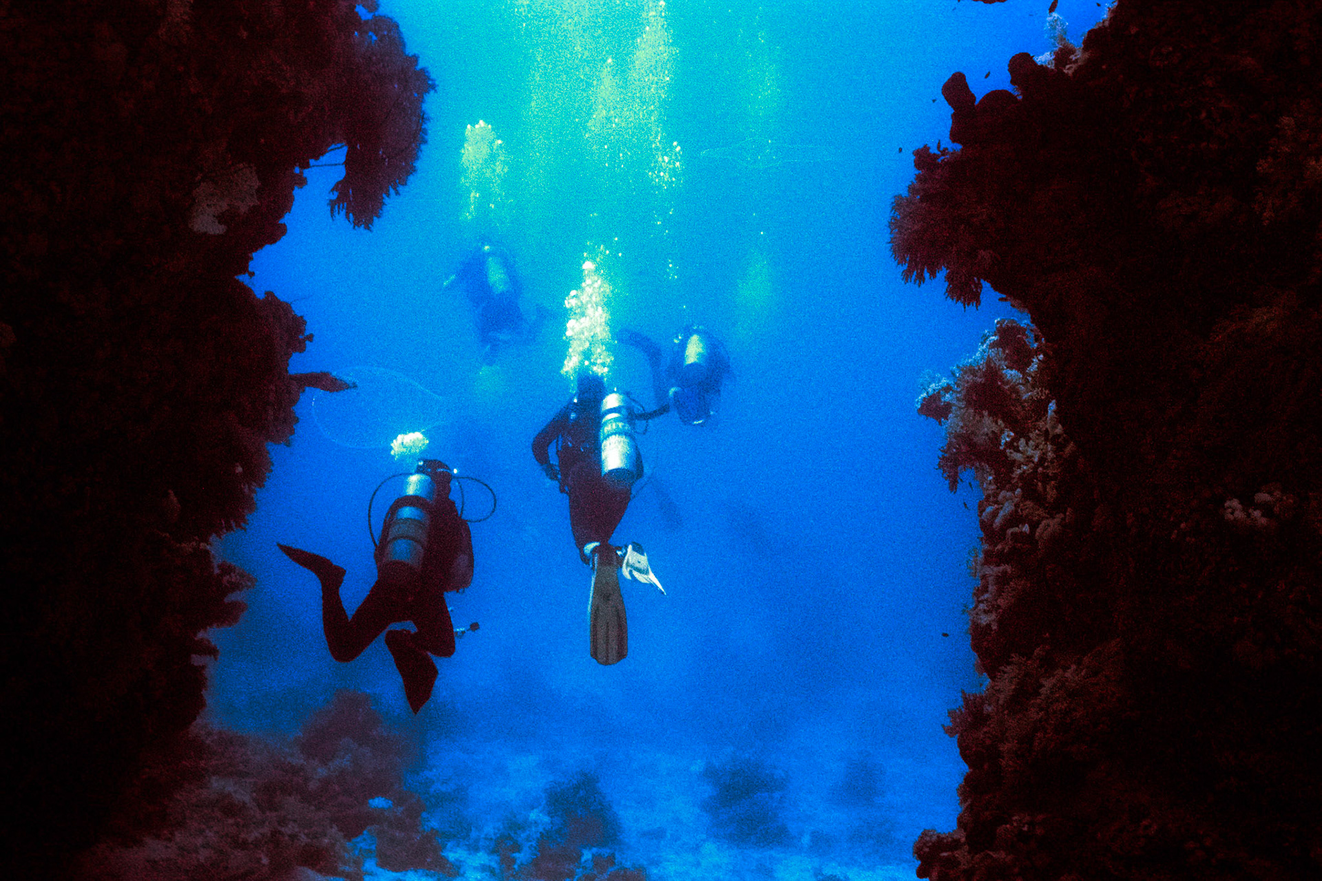 Nikon Nikonos RS | Nikon R-UW AF Nikkor 28mm f/2.8 | Kodak Portra 400 400Scanned with Nikon LS-5000 | Nikon SA-21Home developed in Bellini C41 Kit | 3:30 @ 39 °C | RotationalNegative Lab Pro v3.0.2 | Color Model: Frontier | Pre-Sat: 3 | Tone Profile: LAB - Standard | WB: Auto-Neutral | LUT: Frontier