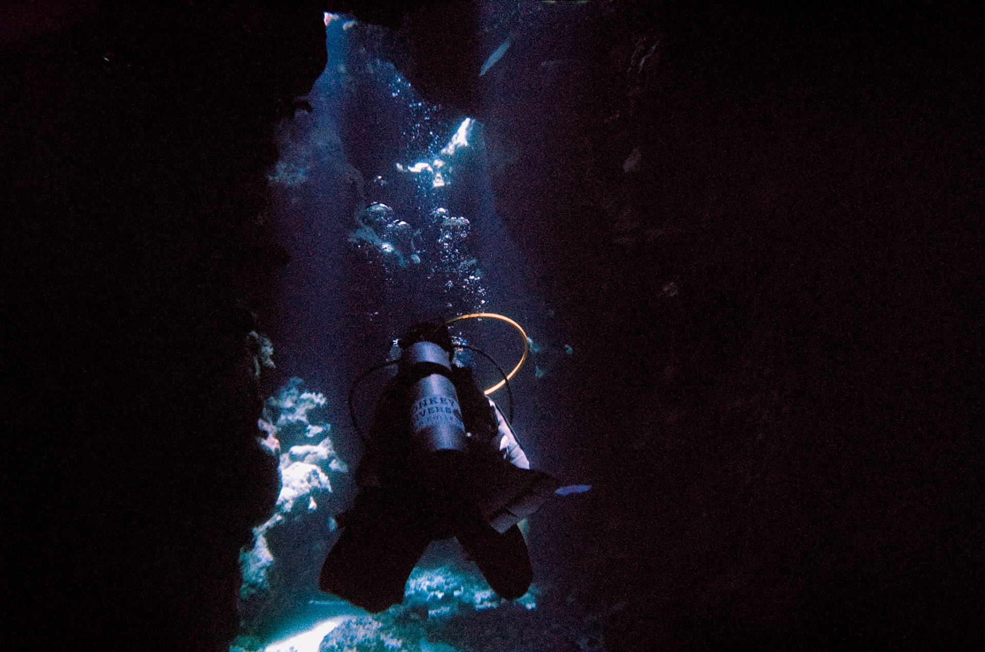 Nikon Nikonos V | Nikon UW Nikkor 35mm f/2.5 | Kodak Portra 800 800Scanned with Nikon LS-5000 | Nikon SA-21Home developed in Bellini C41 Kit | 3:45 @ 38 °C | RotationalNegative Lab Pro v3.0.2 | Color Model: Frontier | Pre-Sat: 3 | Tone Profile: LAB - Standard | WB: Auto-Neutral | LUT: Frontier