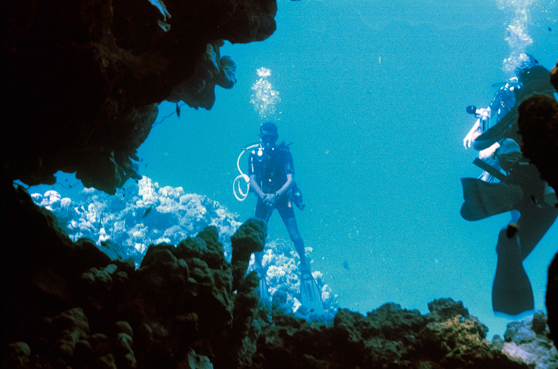 Nikon Nikonos RS | Nikon R-UW AF Nikkor 50mm f/2.8 Micro | Kodak Portra 160 160Scanned with Nikon LS-5000 | Nikon SA-21Home developed in Bellini C41 Kit | 3:15 @ 39 °C | RotationalNegative Lab Pro v3.0.2 | Color Model: Frontier | Pre-Sat: 3 | Tone Profile: LAB - Standard | WB: Auto-Neutral | LUT: Frontier