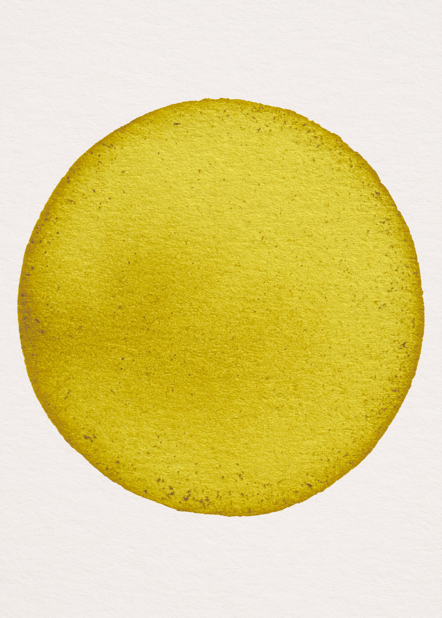 Oeillet d'Inde N°1.0