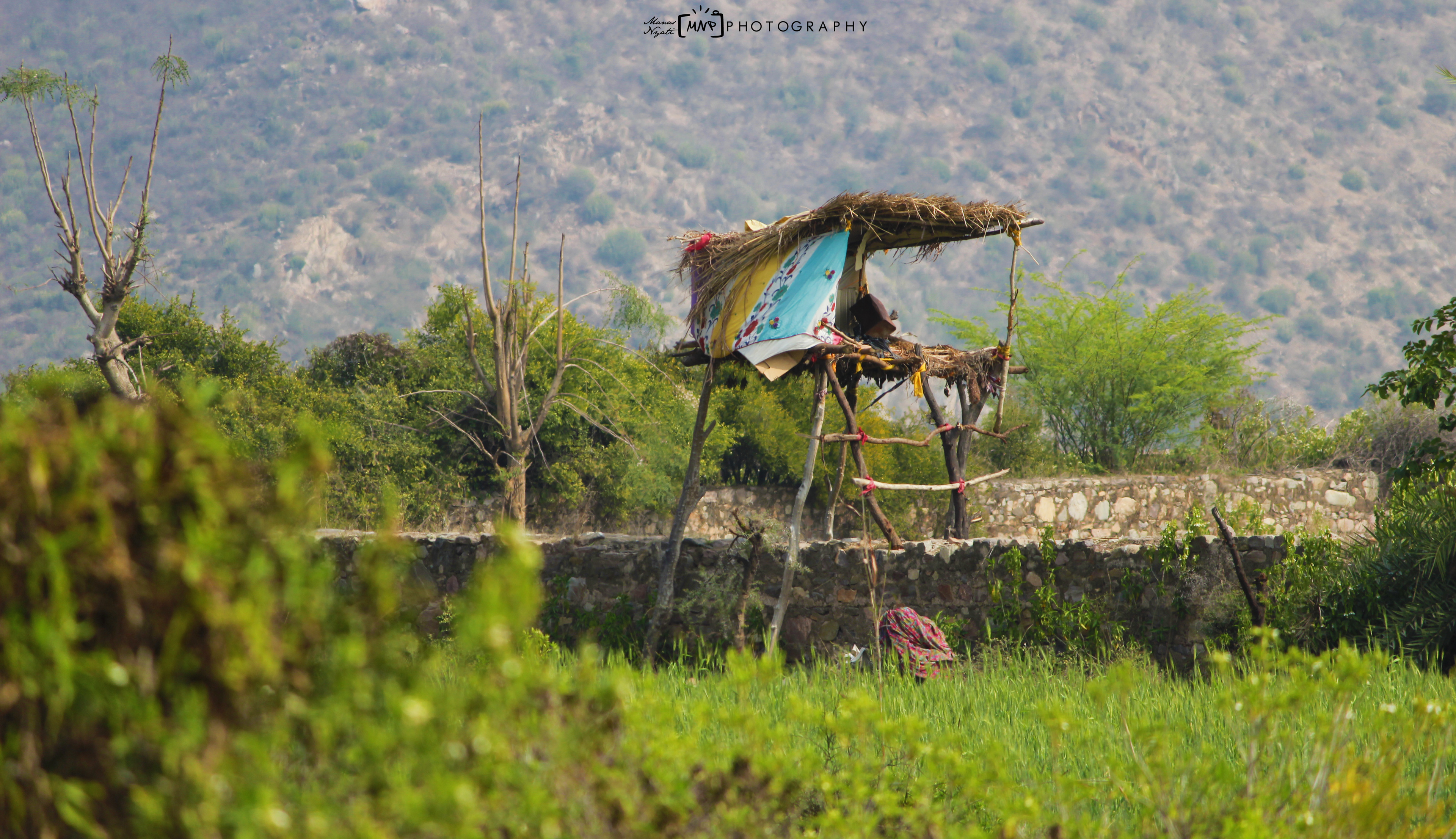 Nature: Our exquisite Indian frame