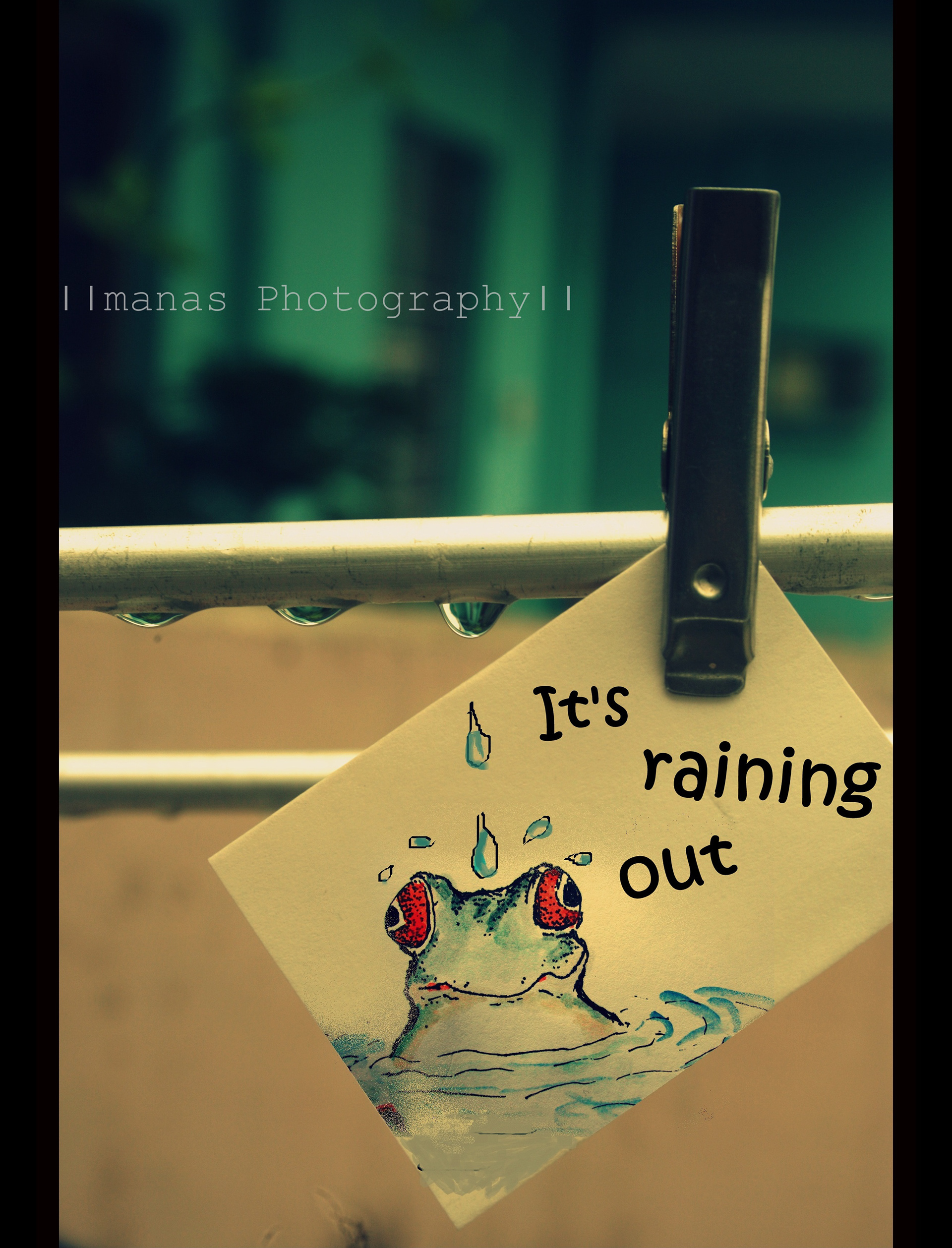 In the frame, frog feels the rain