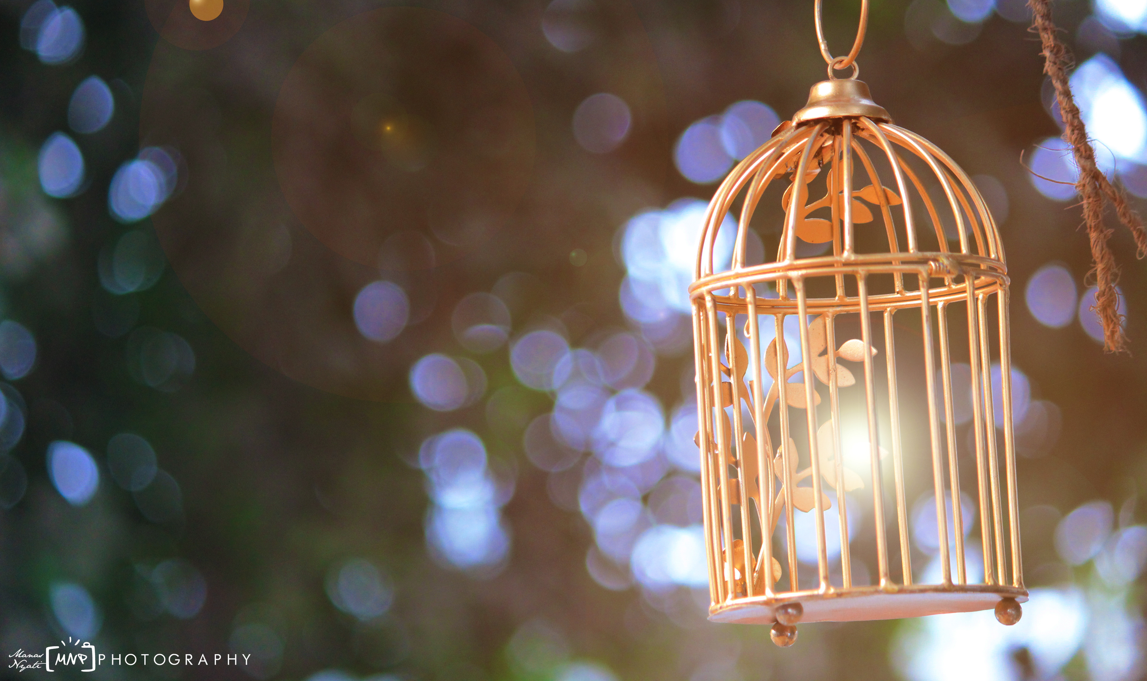 Let me be the way I was, Let me be selfless,  Let me be free! Please!-Nature