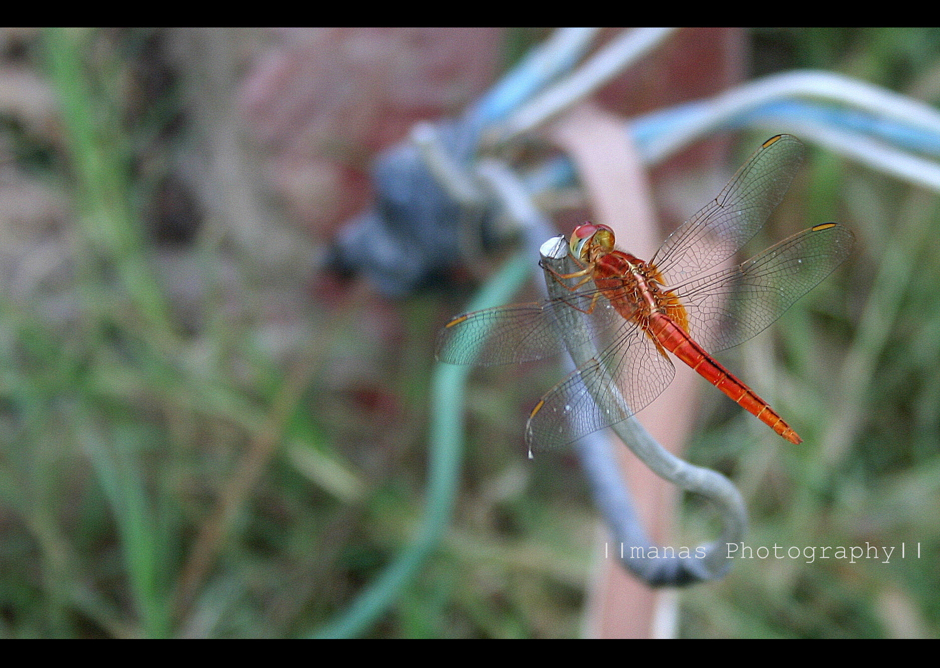 Alwyz a dream Click for me..