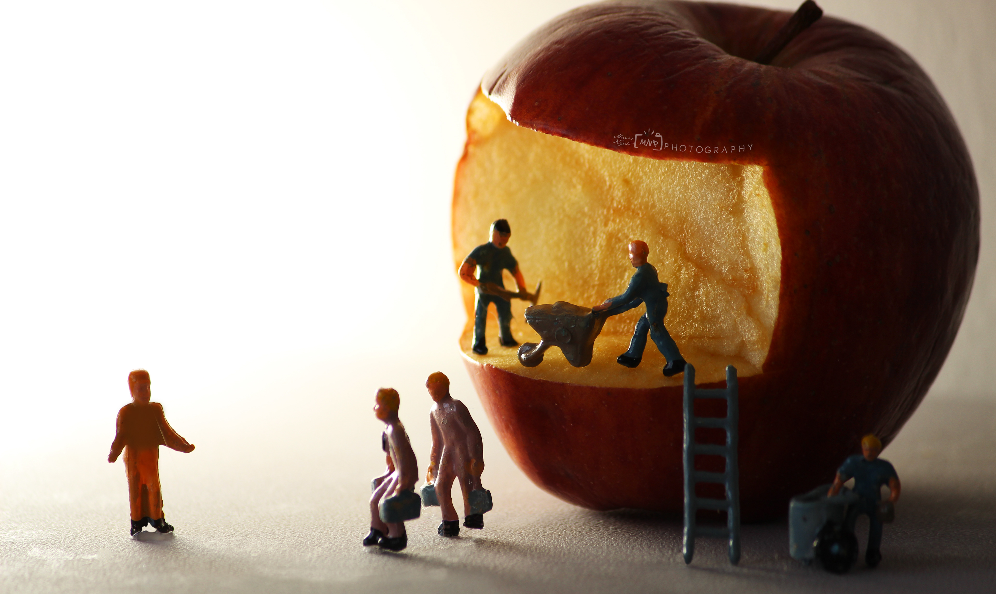 Finding answers to why an apple a day, keeps doctor away!