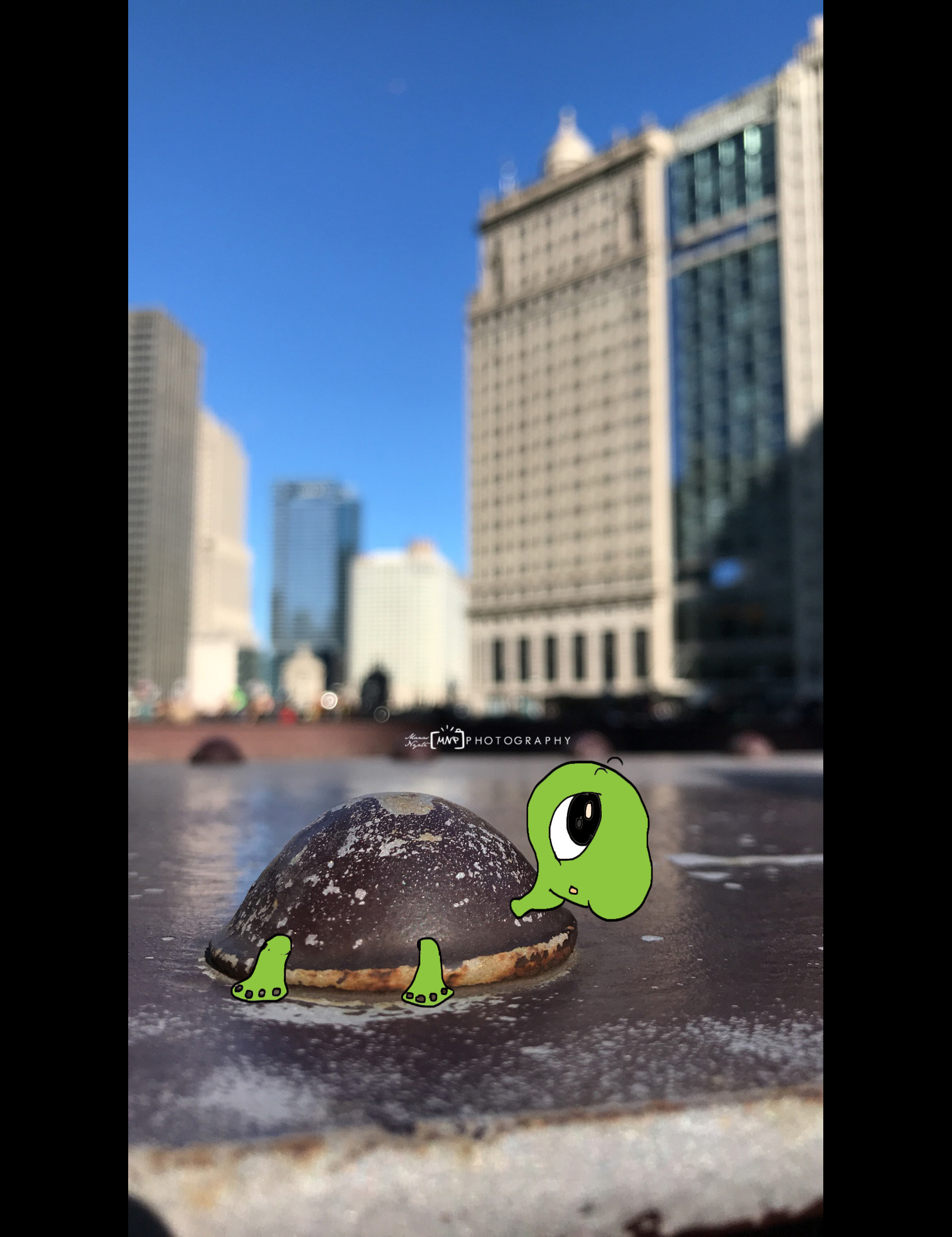 Oh that cute little turtle in the Chicago Downtown