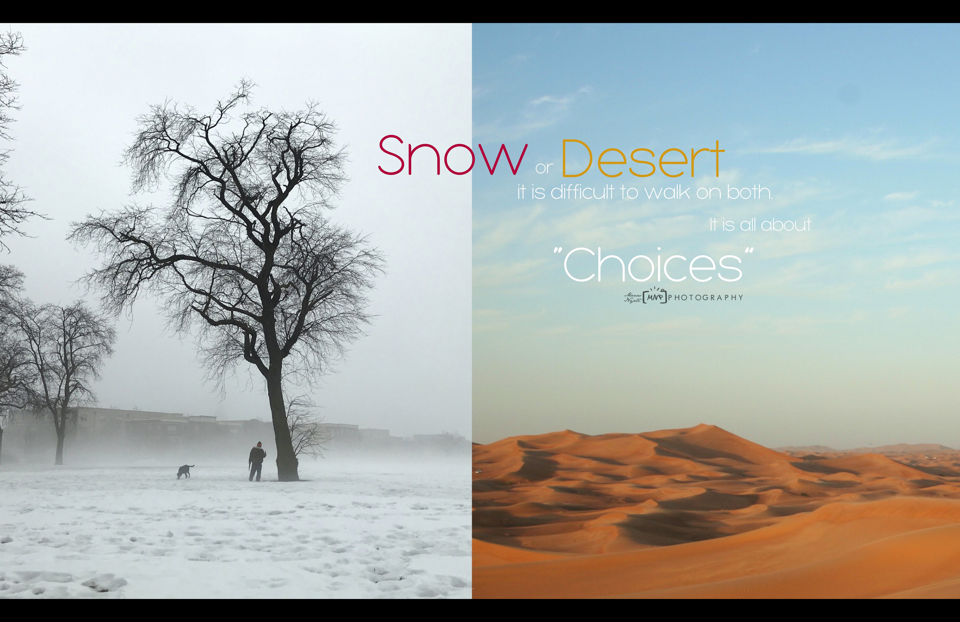Choices
