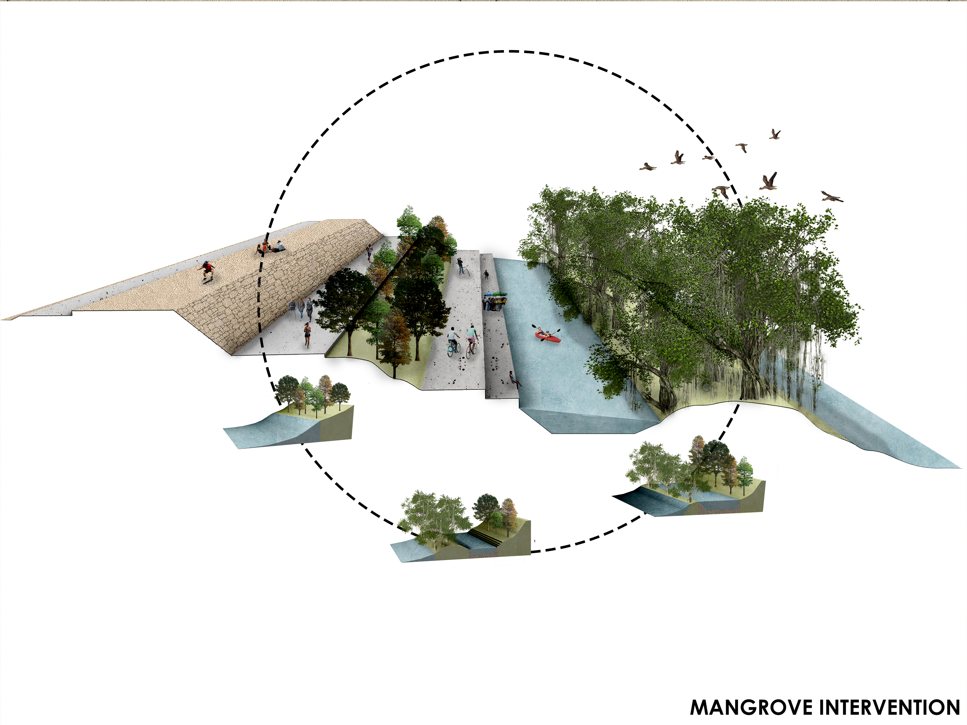 Mangrove intervention strategy