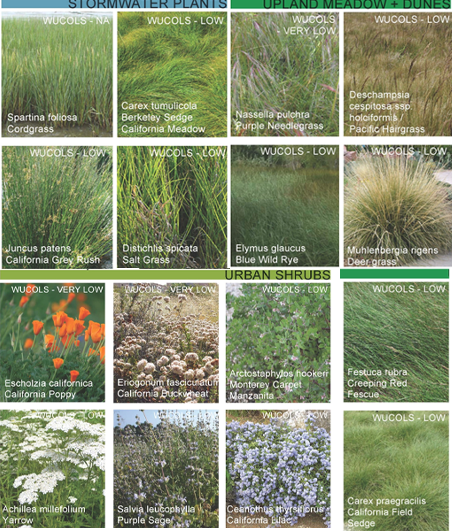 Planting chart
