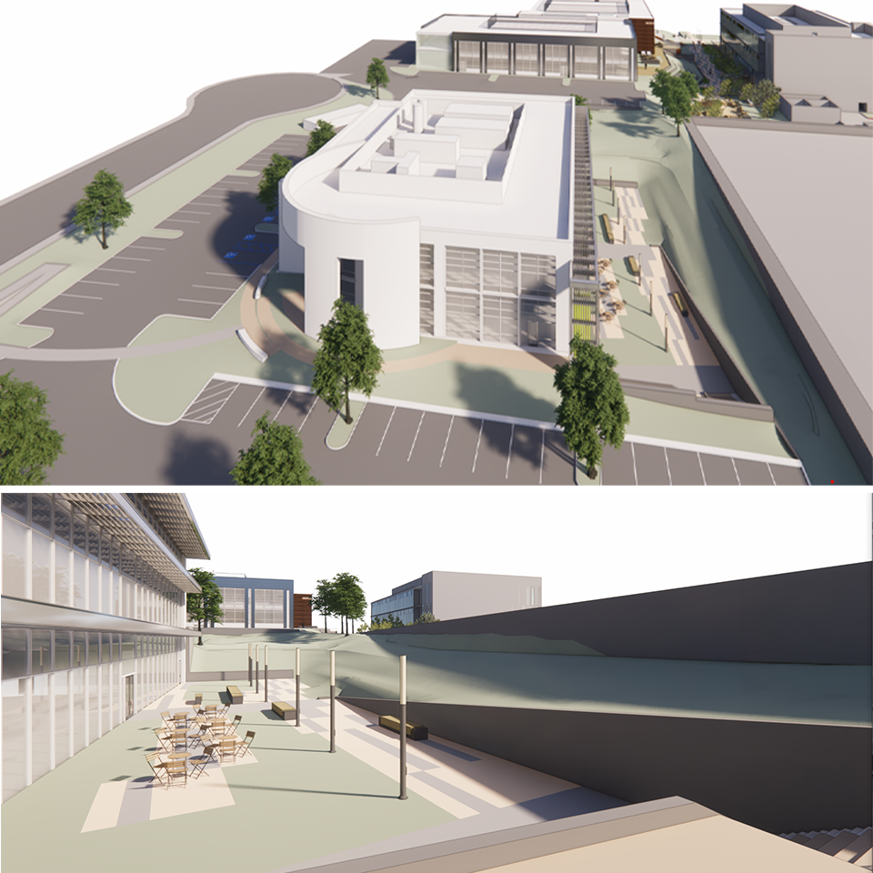 DGA - Study images
