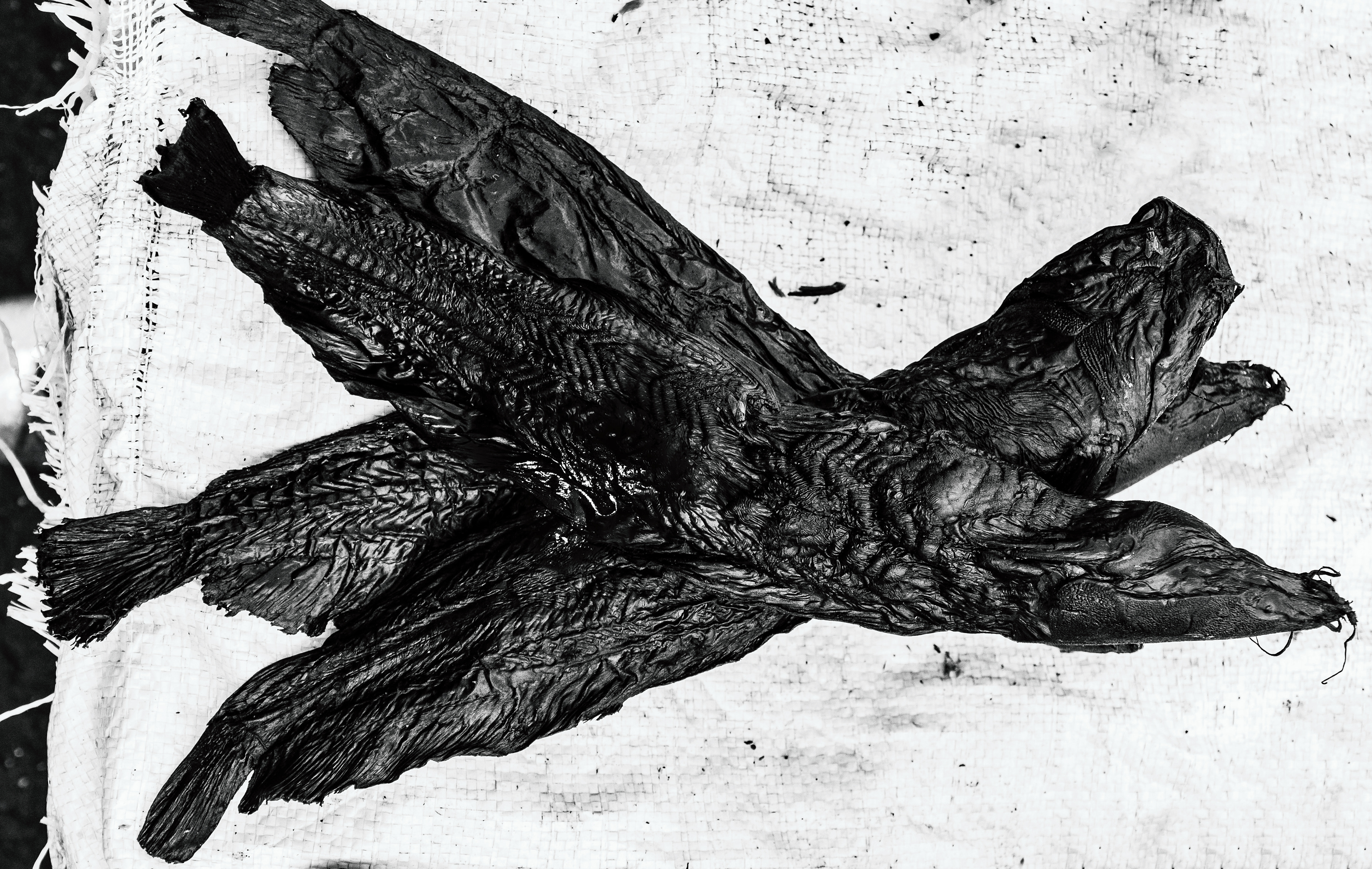 Brazzaville Croisements du marché Total/Crossings in Total market