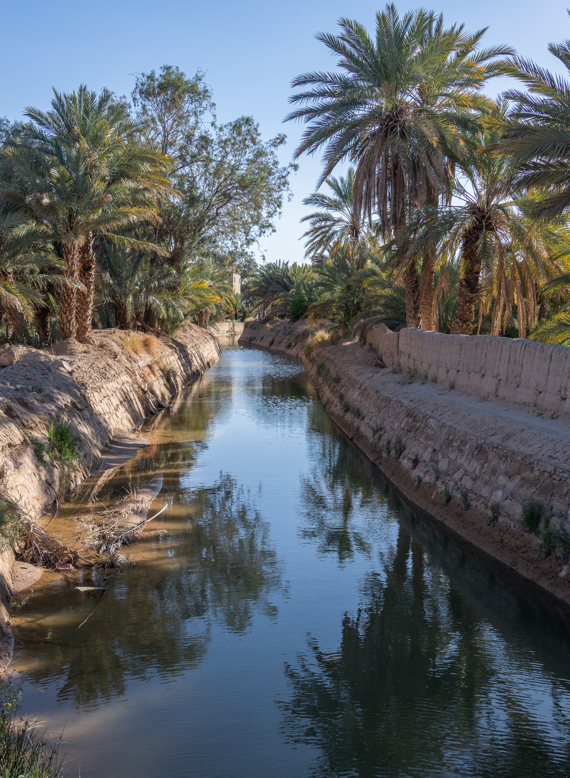 Tafilalt Ksar Maadid