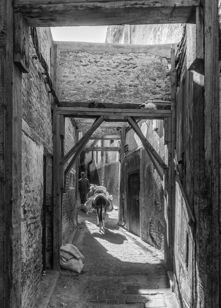 Fas al Bali Ruelle avec mulets