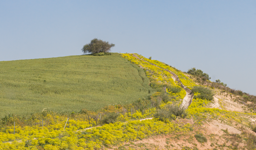 Sur l'A2 Vallée du Beht