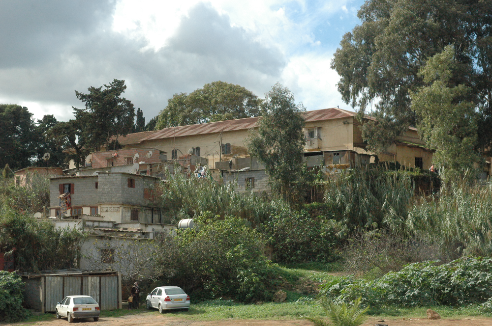 Annacer
