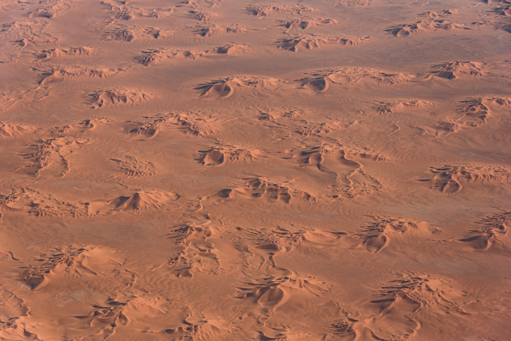 Sahara Wilaya de Ouargla