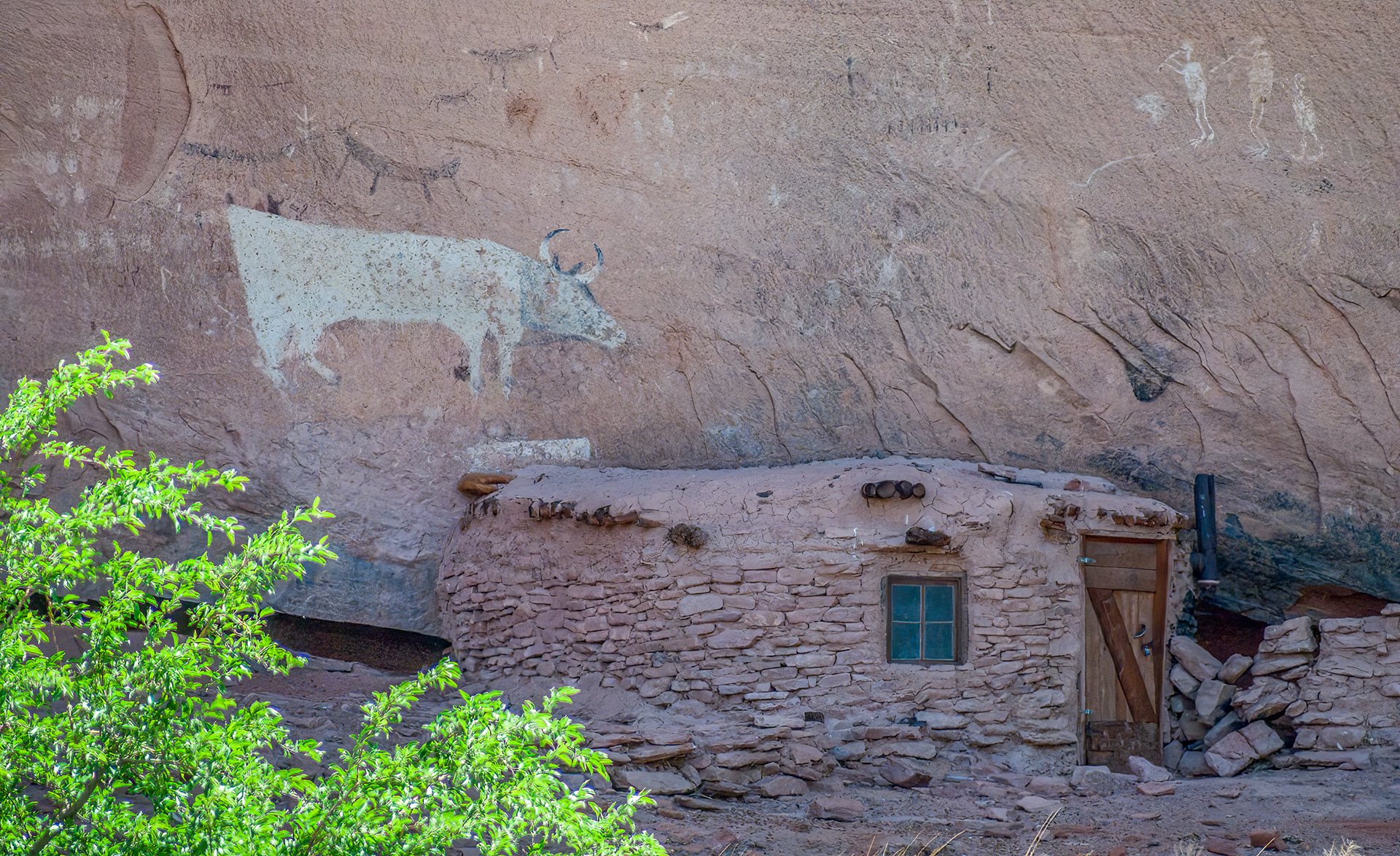 Canyon del Muerto Standing Cow Ruin