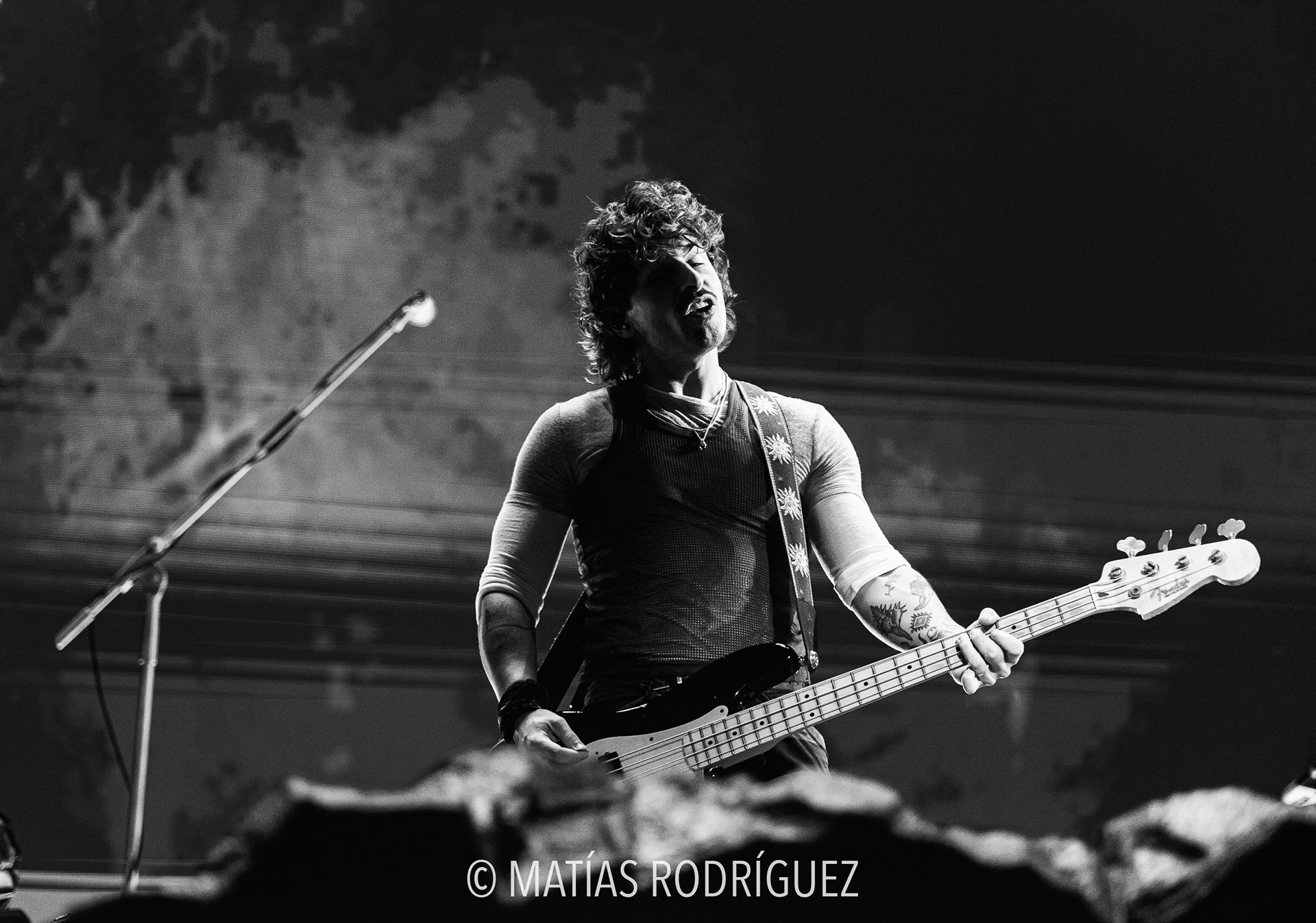 Dani Fernández-Roig Arena