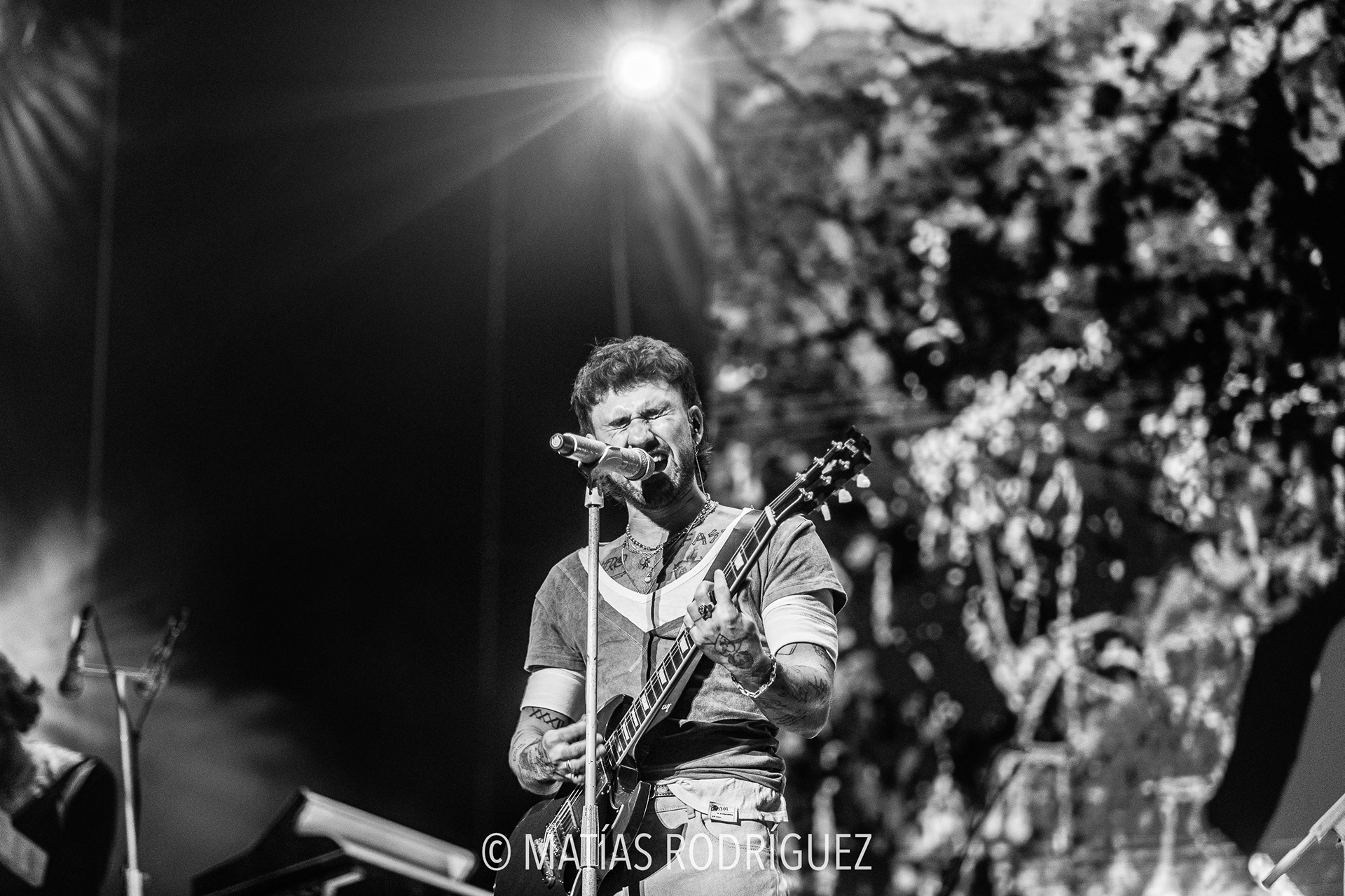 Dani Fernández-Roig Arena