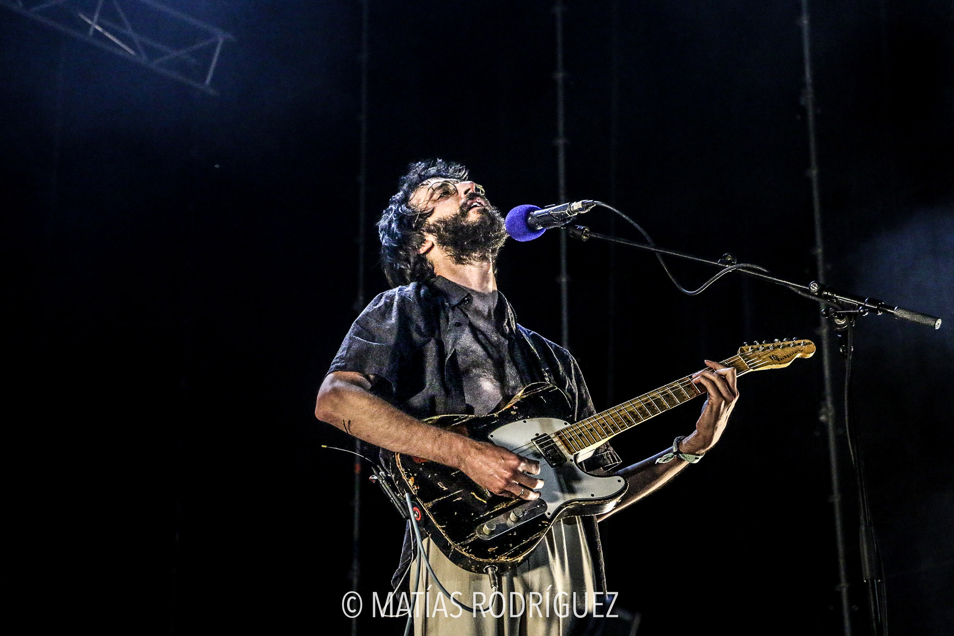 Sexy Zebras-Festival de los Sentidos