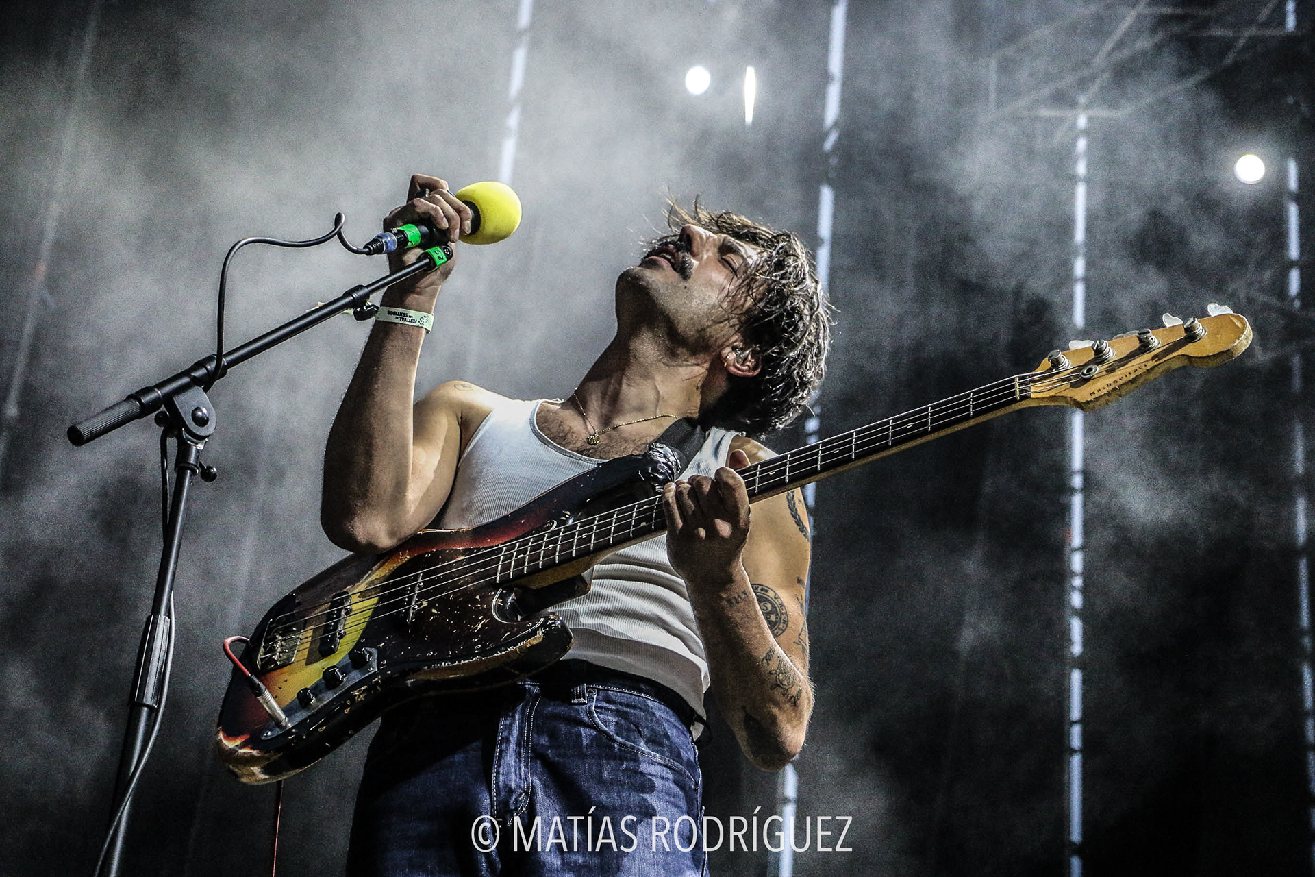 Sexy Zebras-Festival de los Sentidos