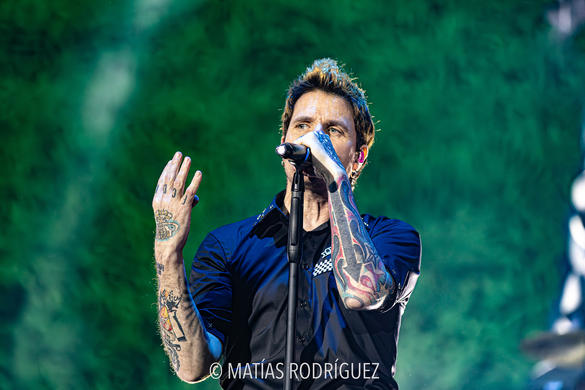 Dani Martín-Roig Arena