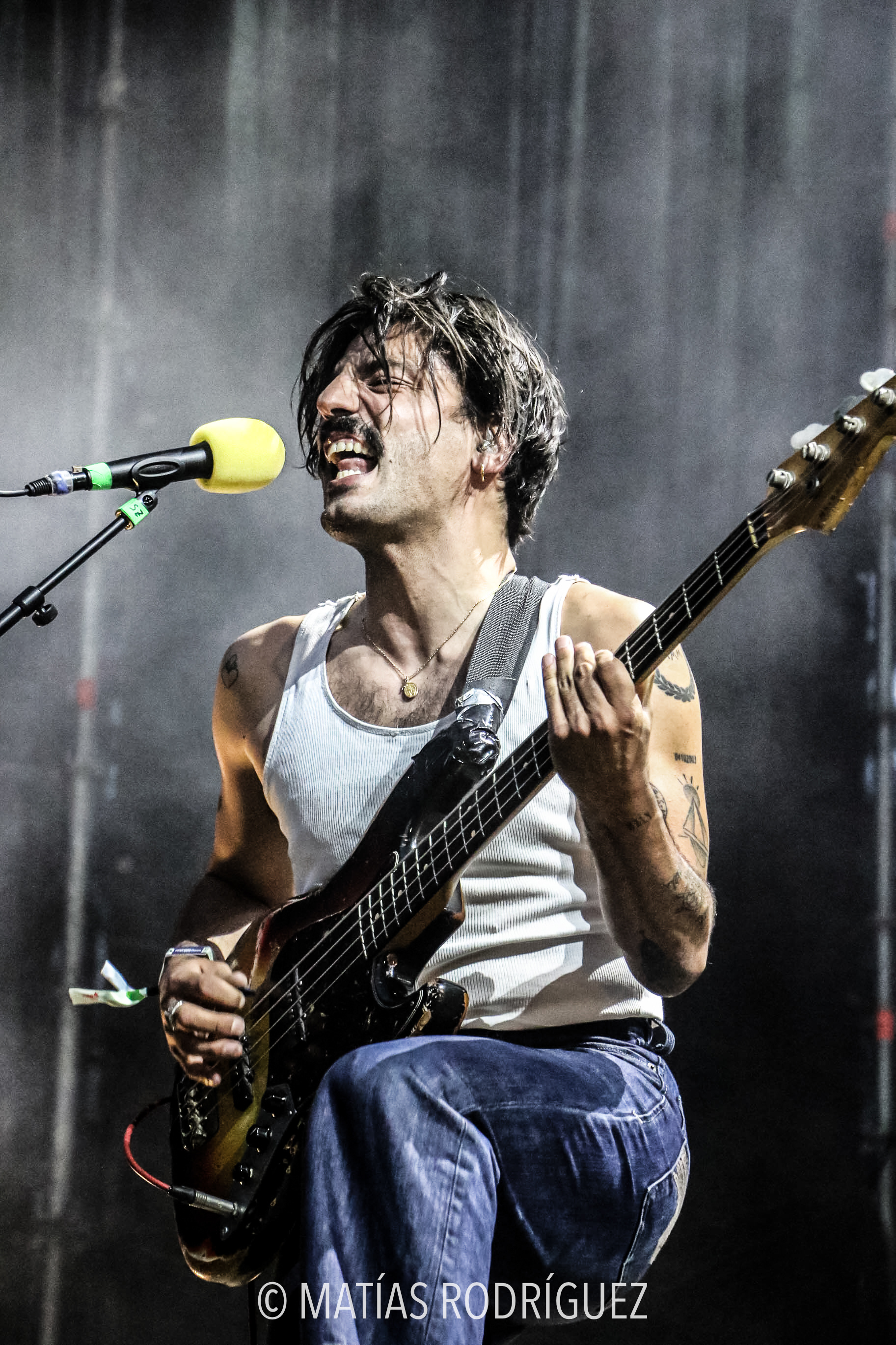 Sexy Zebras-Festival de los Sentidos