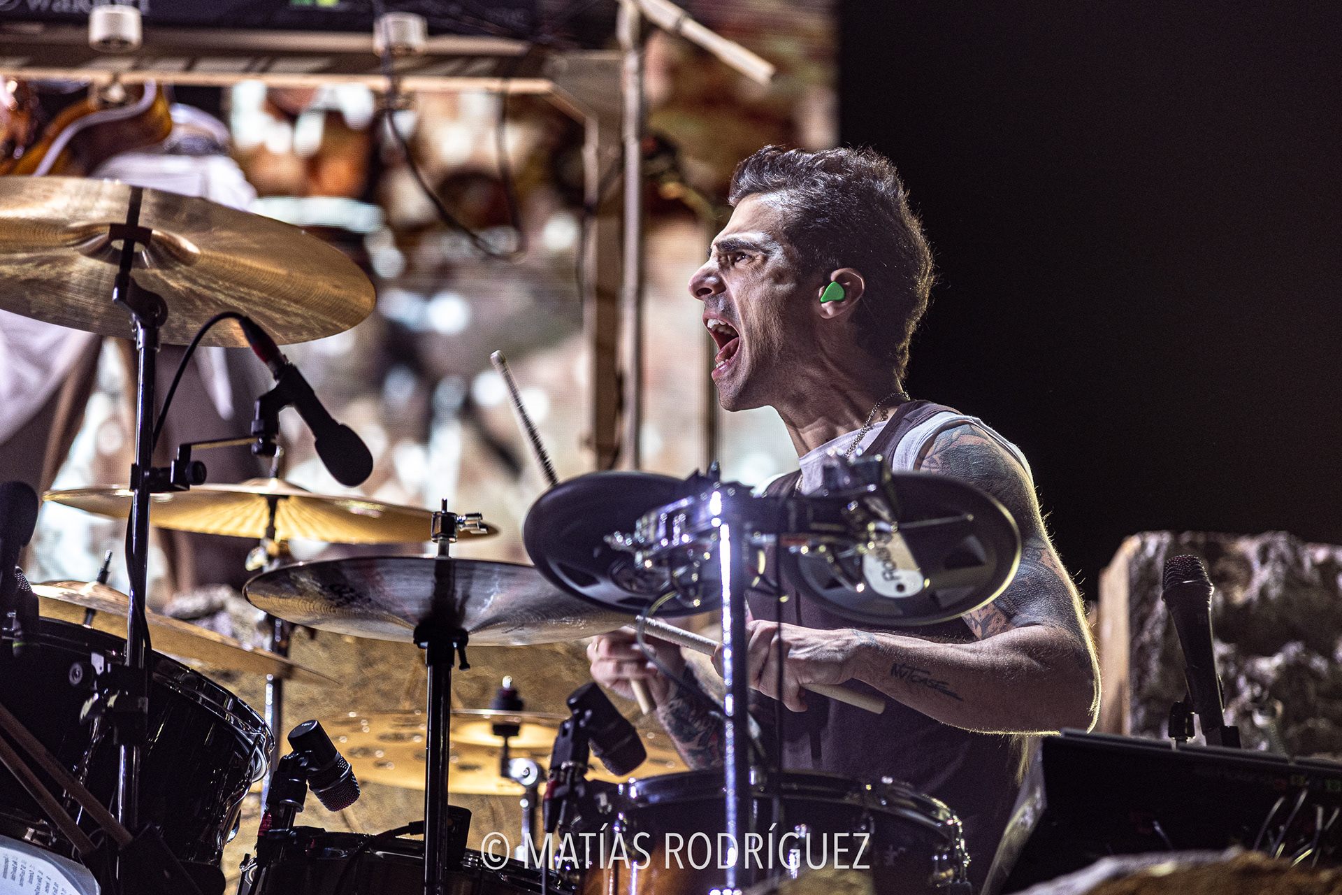 Dani Fernández-Roig Arena