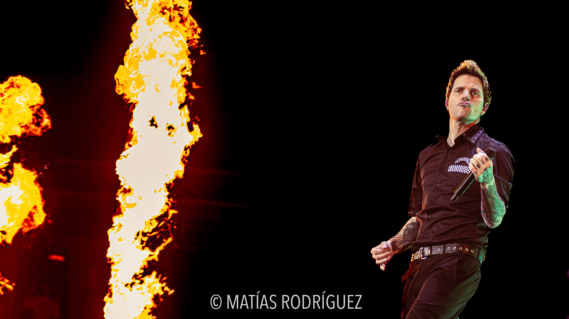 Dani Martín-Roig Arena