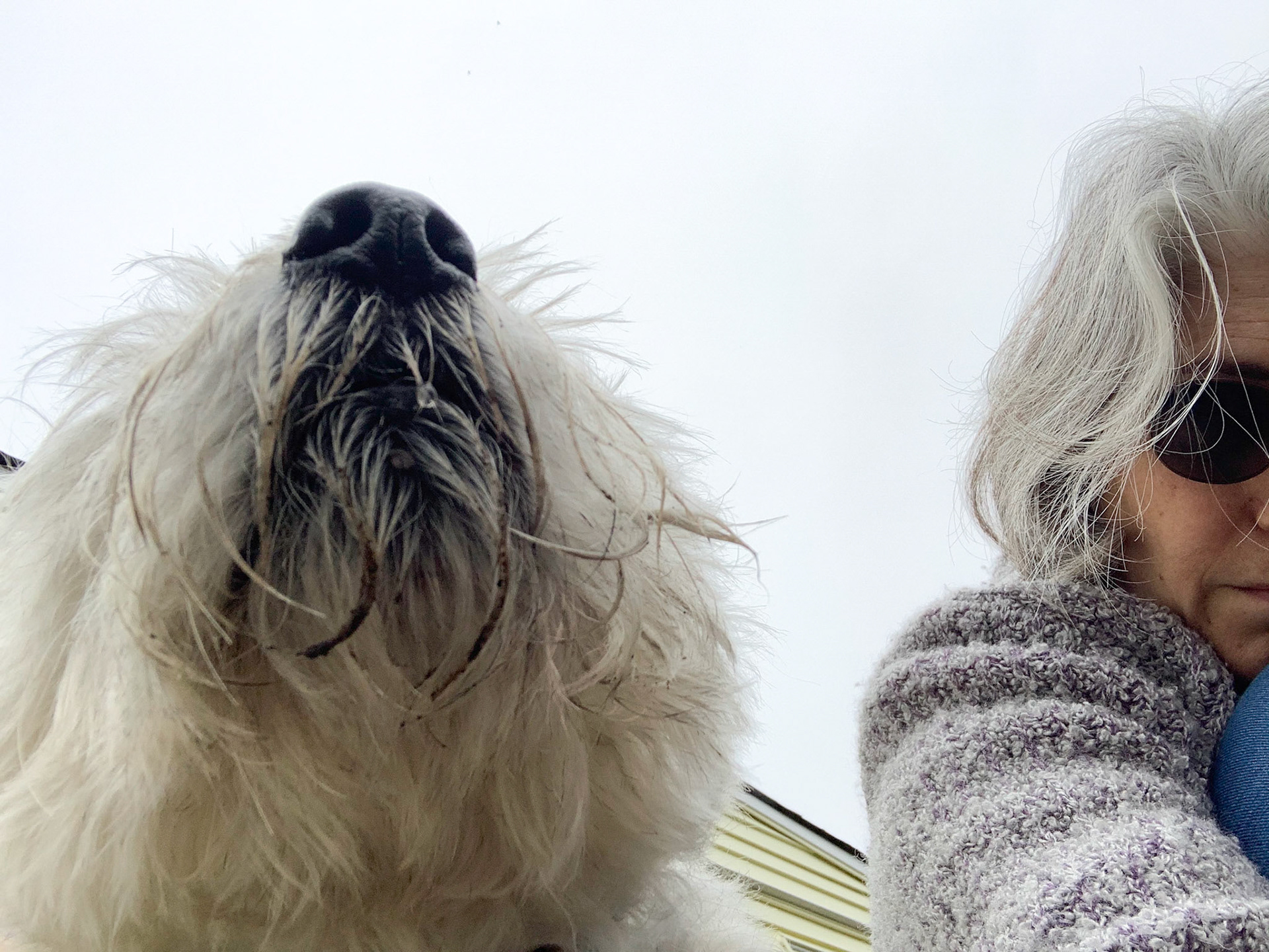 Bear and I