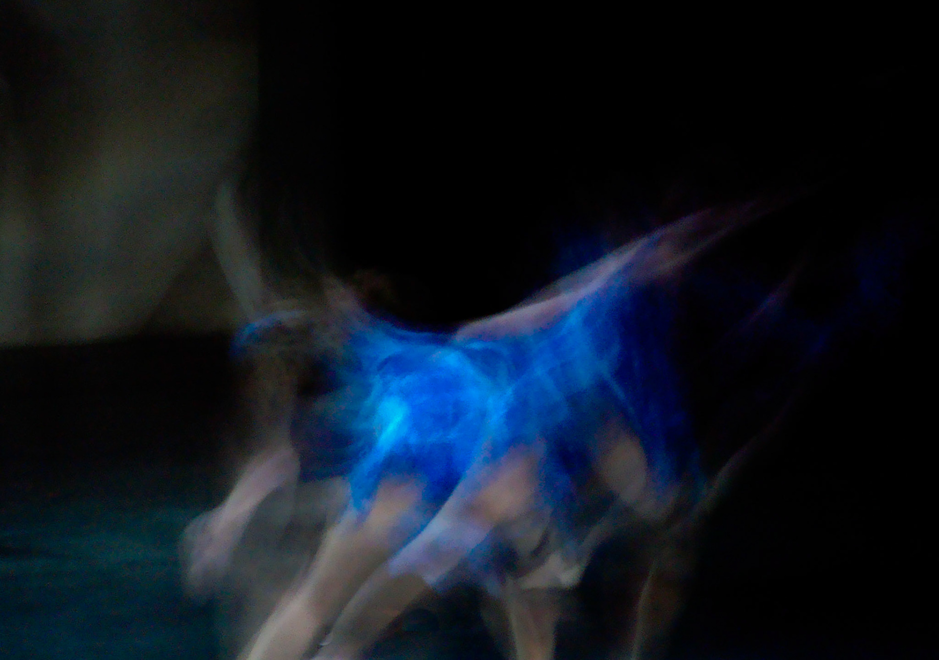 Dancing Through Life