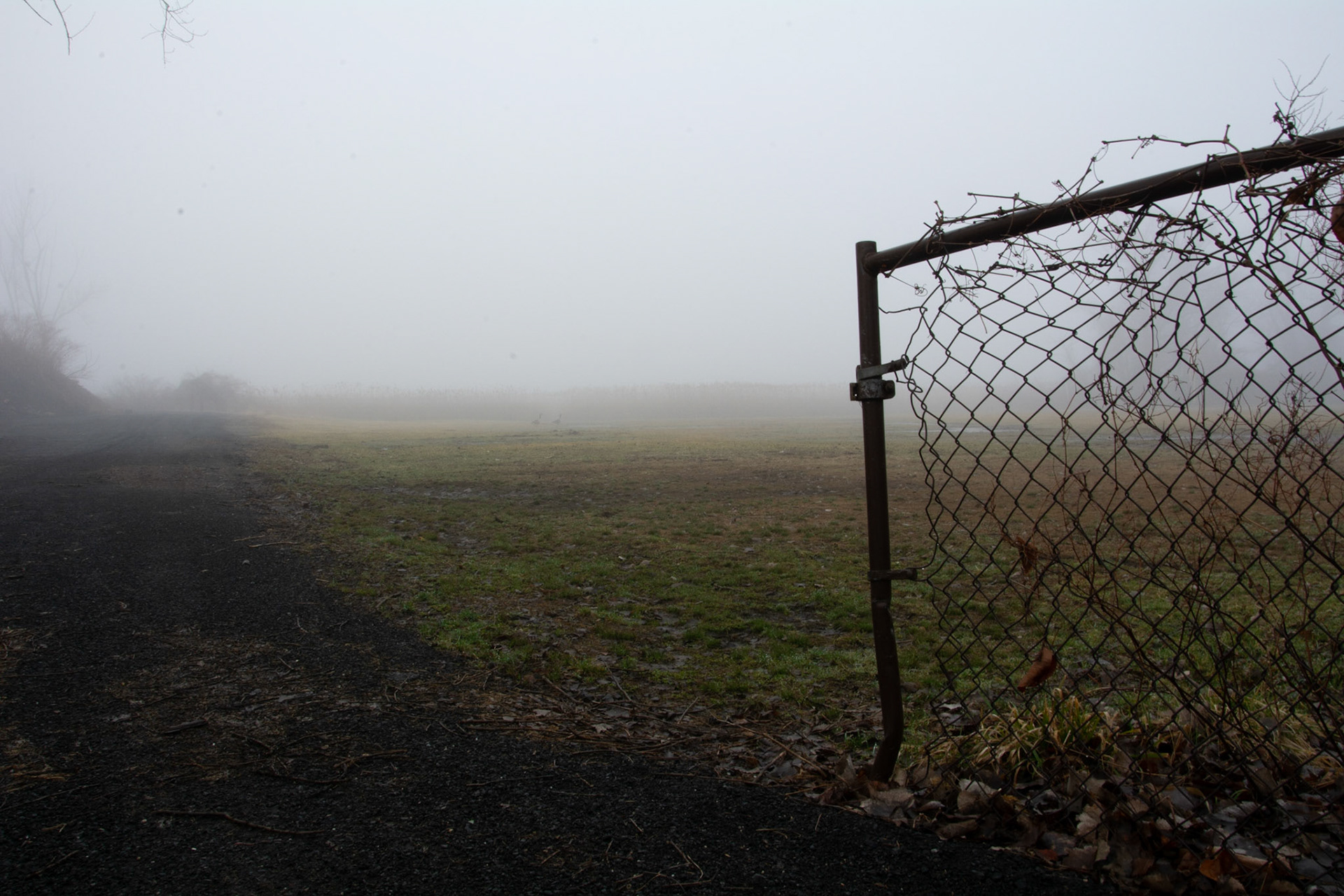 Piermont Ball-field Fog