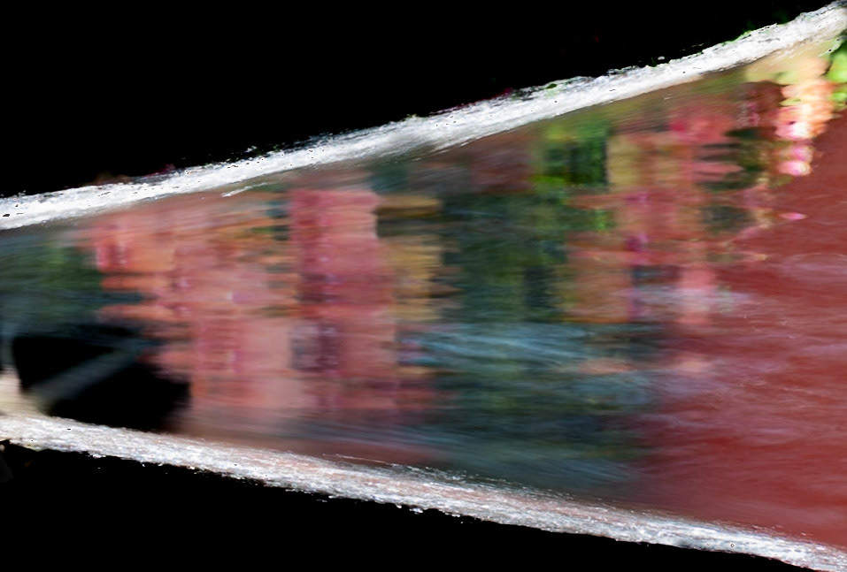 Orchids (behind water)