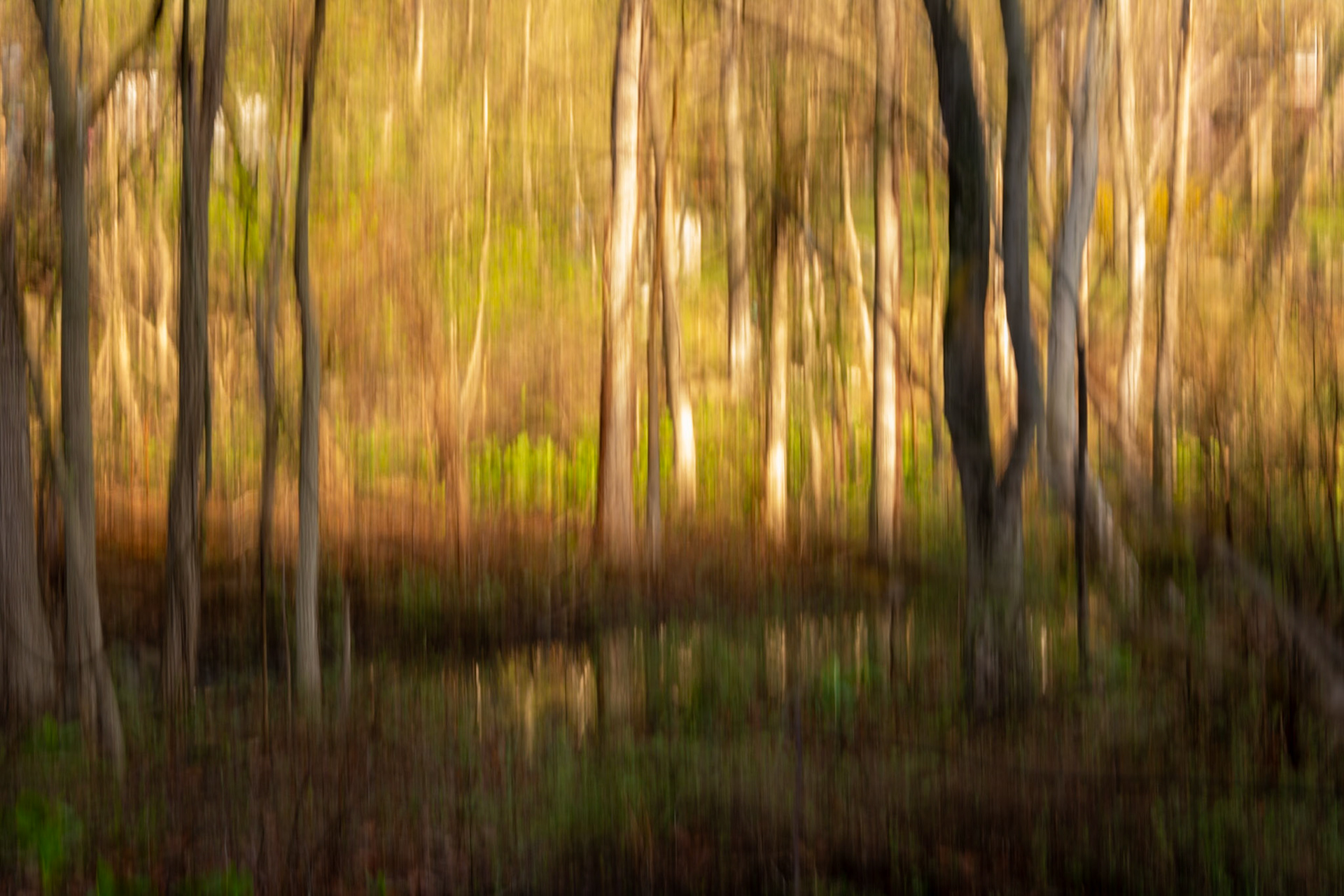 Creek on a sunny morn