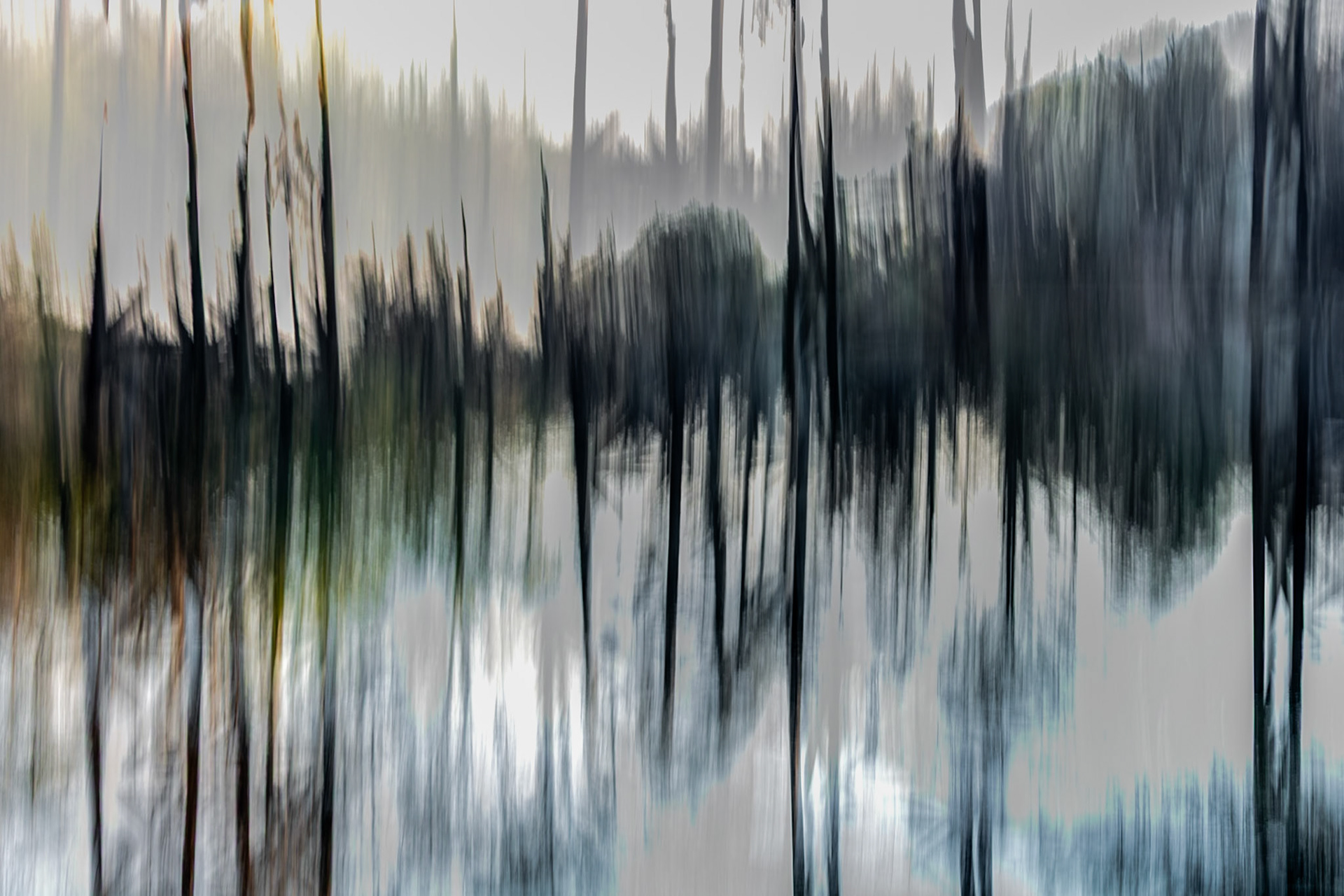 Sparkill Pond 1