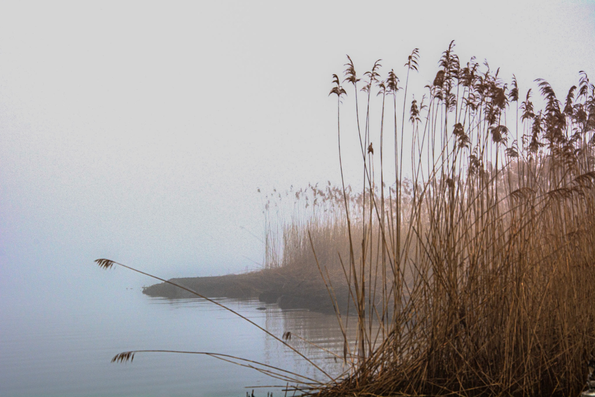 Pier in Fog