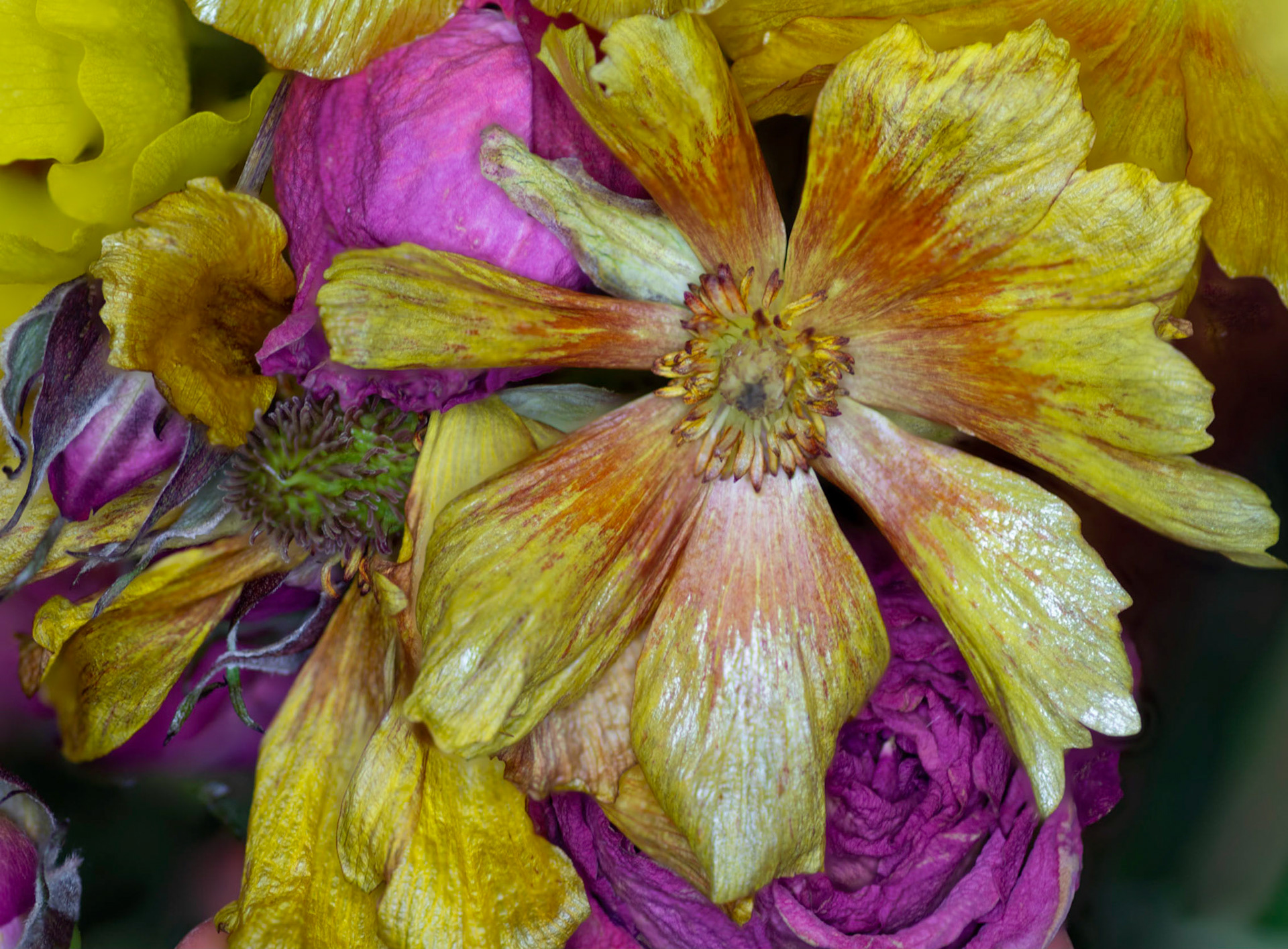Beauty in Imperfection