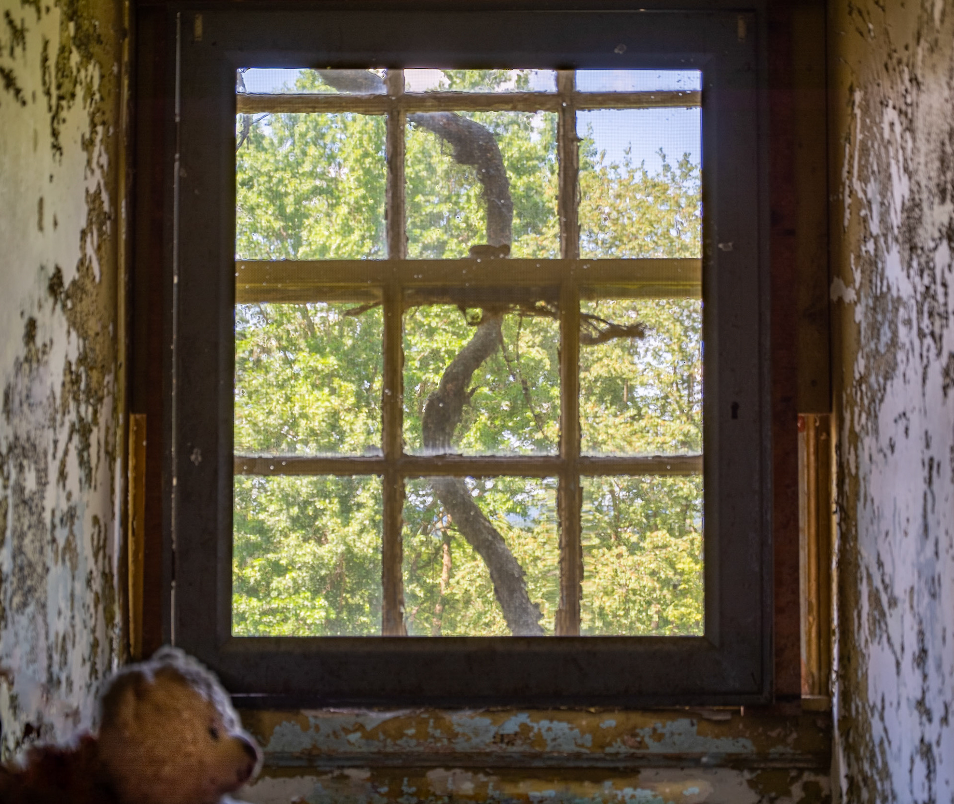 Window at Pennhurst
