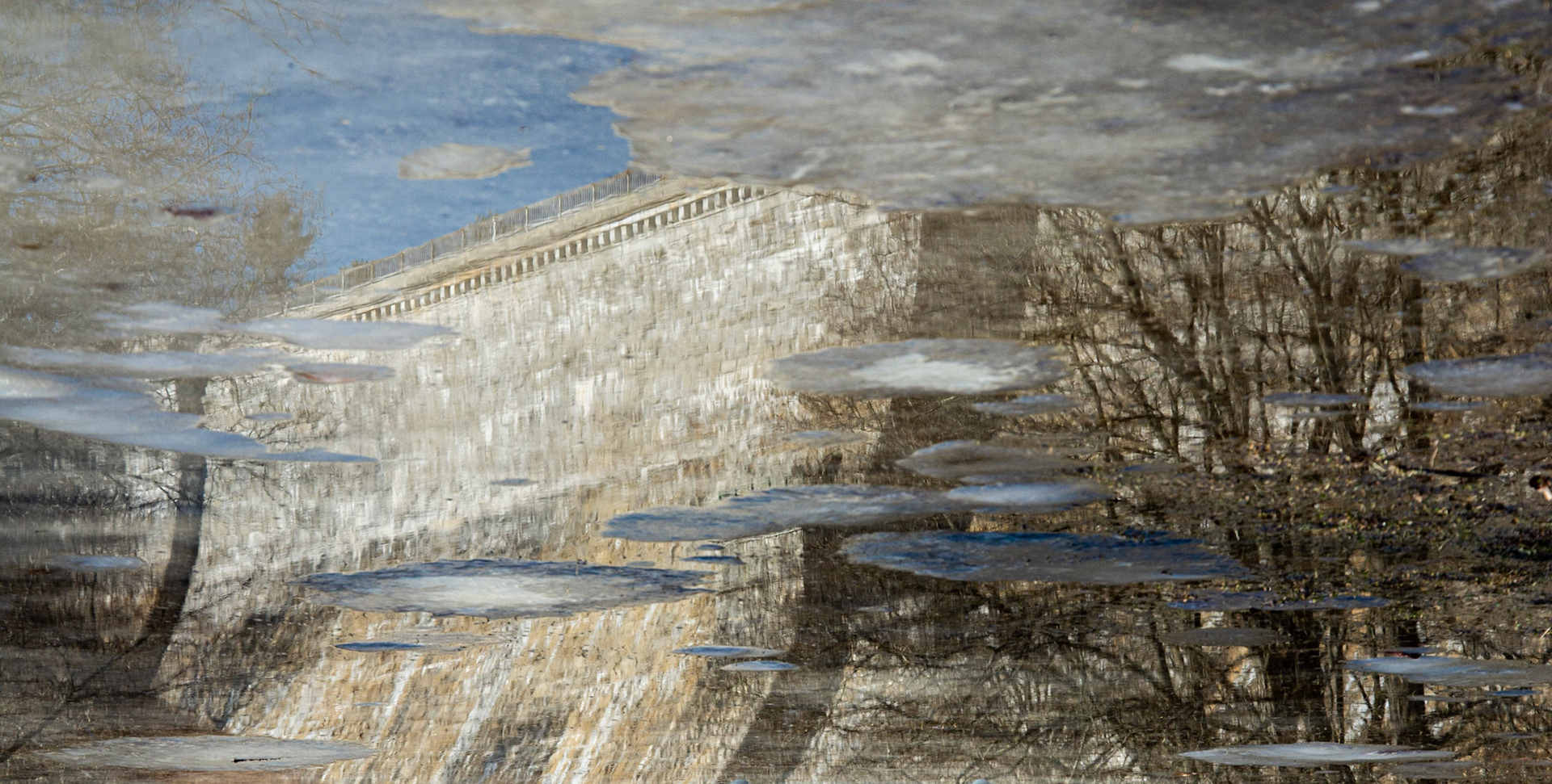 Croton Reflection 2