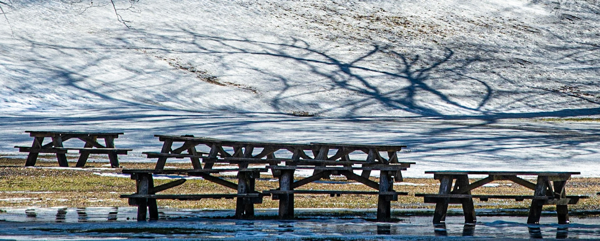 Tables and Trees