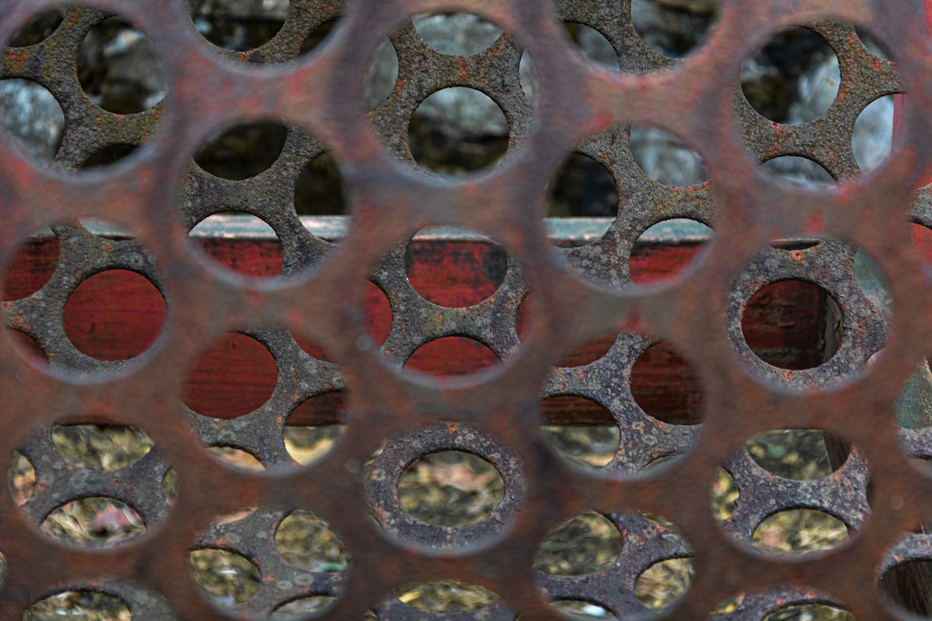 Red Holes