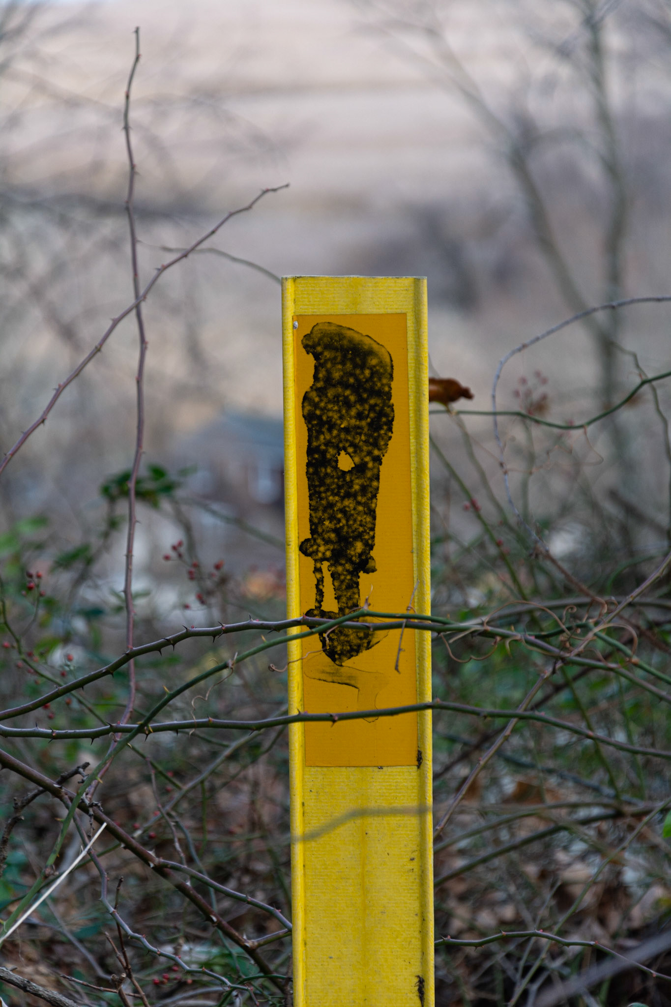 Trail Marker