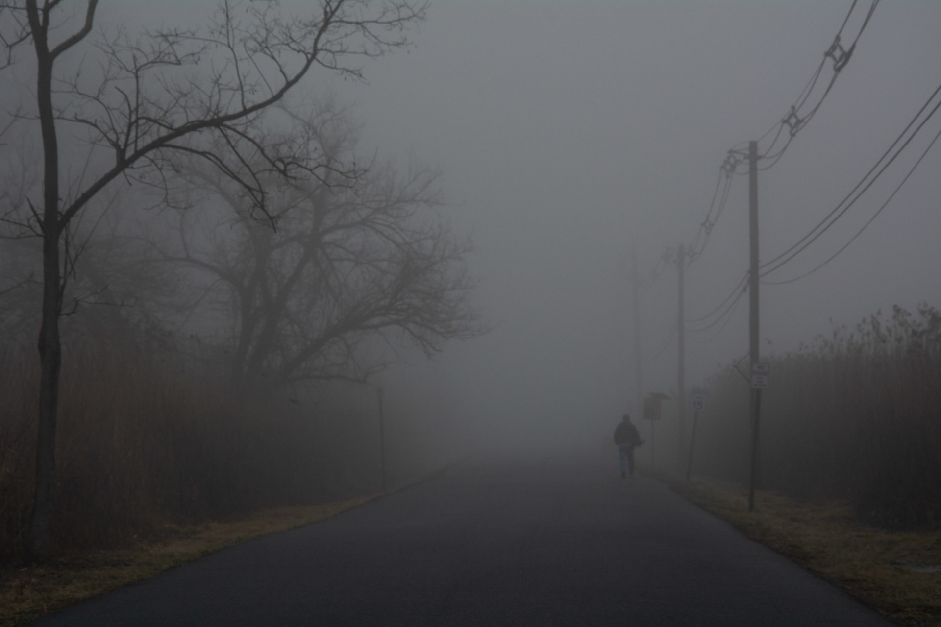 Pier in Fog 2