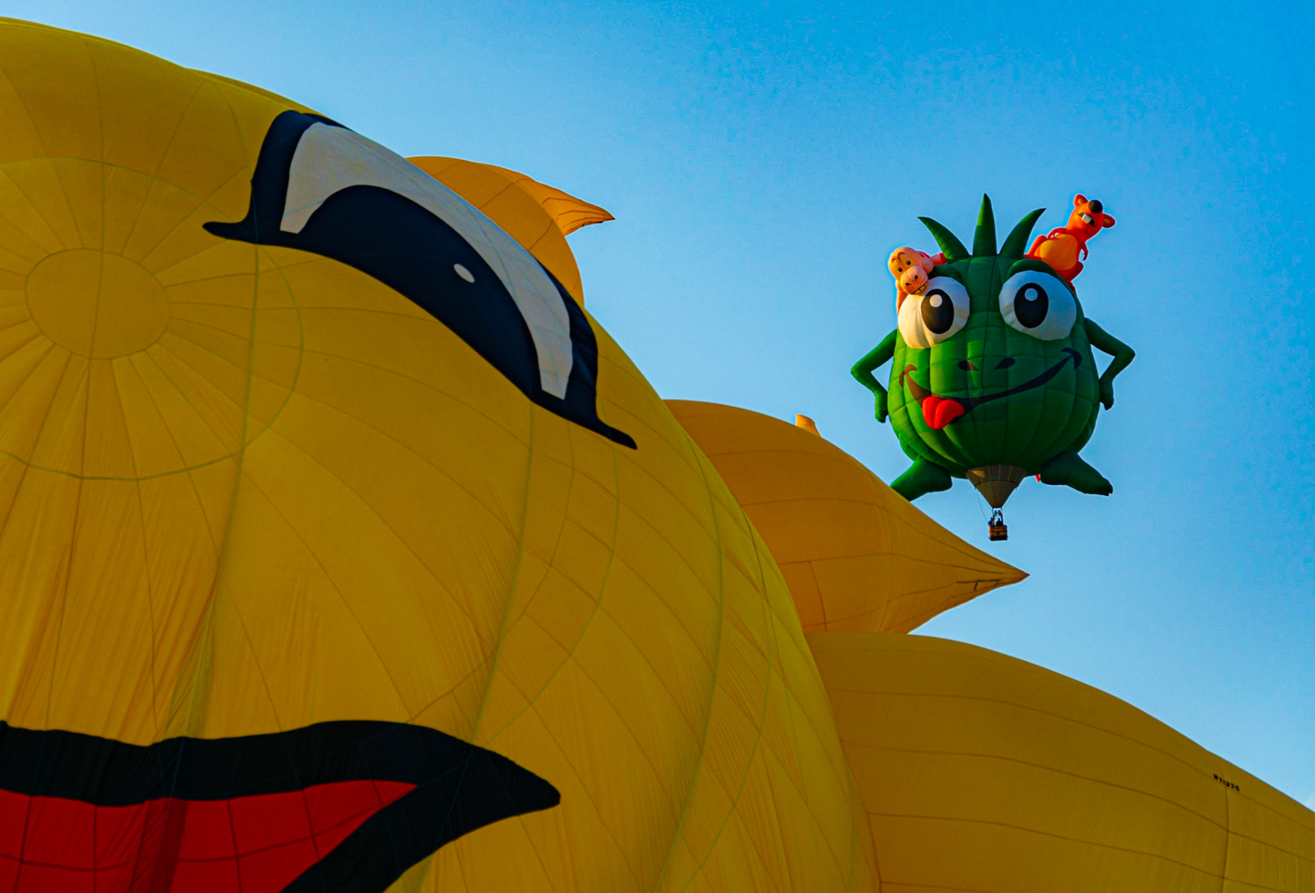 NJL Balloons 6